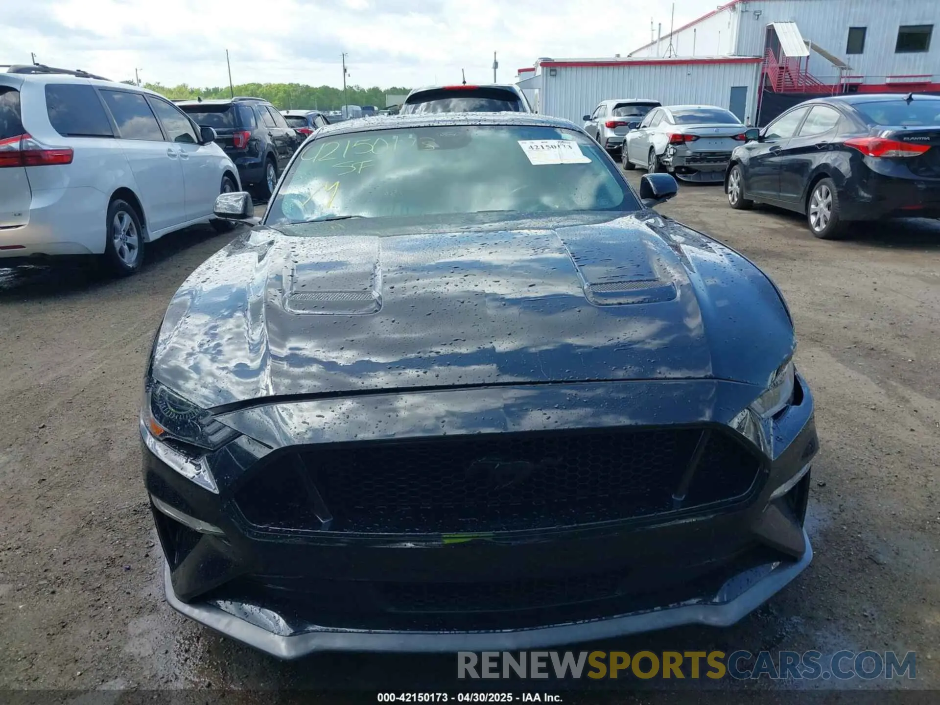 12 Photograph of a damaged car 1FA6P8CF3N5133730 FORD MUSTANG 2022