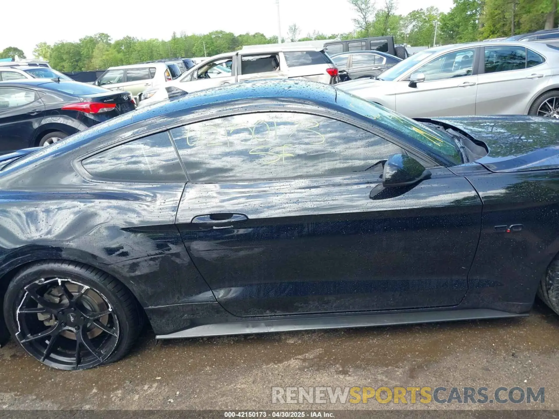 13 Photograph of a damaged car 1FA6P8CF3N5133730 FORD MUSTANG 2022