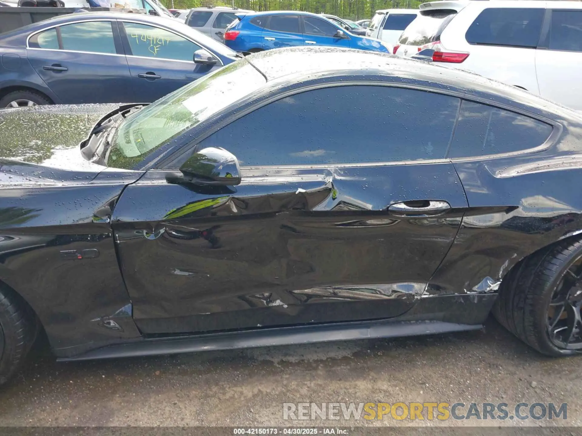 14 Photograph of a damaged car 1FA6P8CF3N5133730 FORD MUSTANG 2022