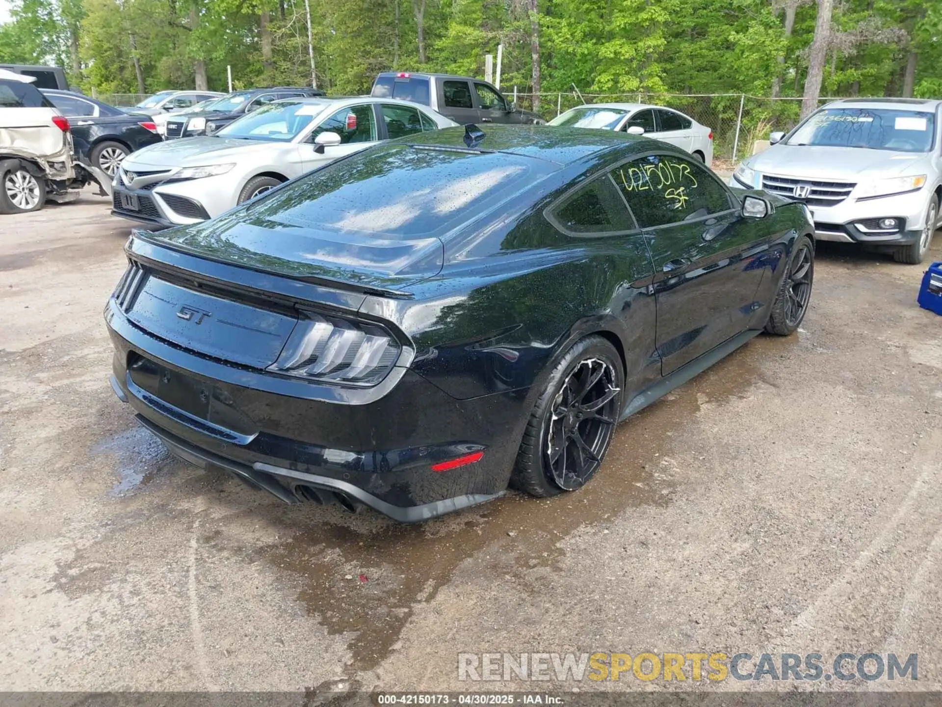 4 Photograph of a damaged car 1FA6P8CF3N5133730 FORD MUSTANG 2022