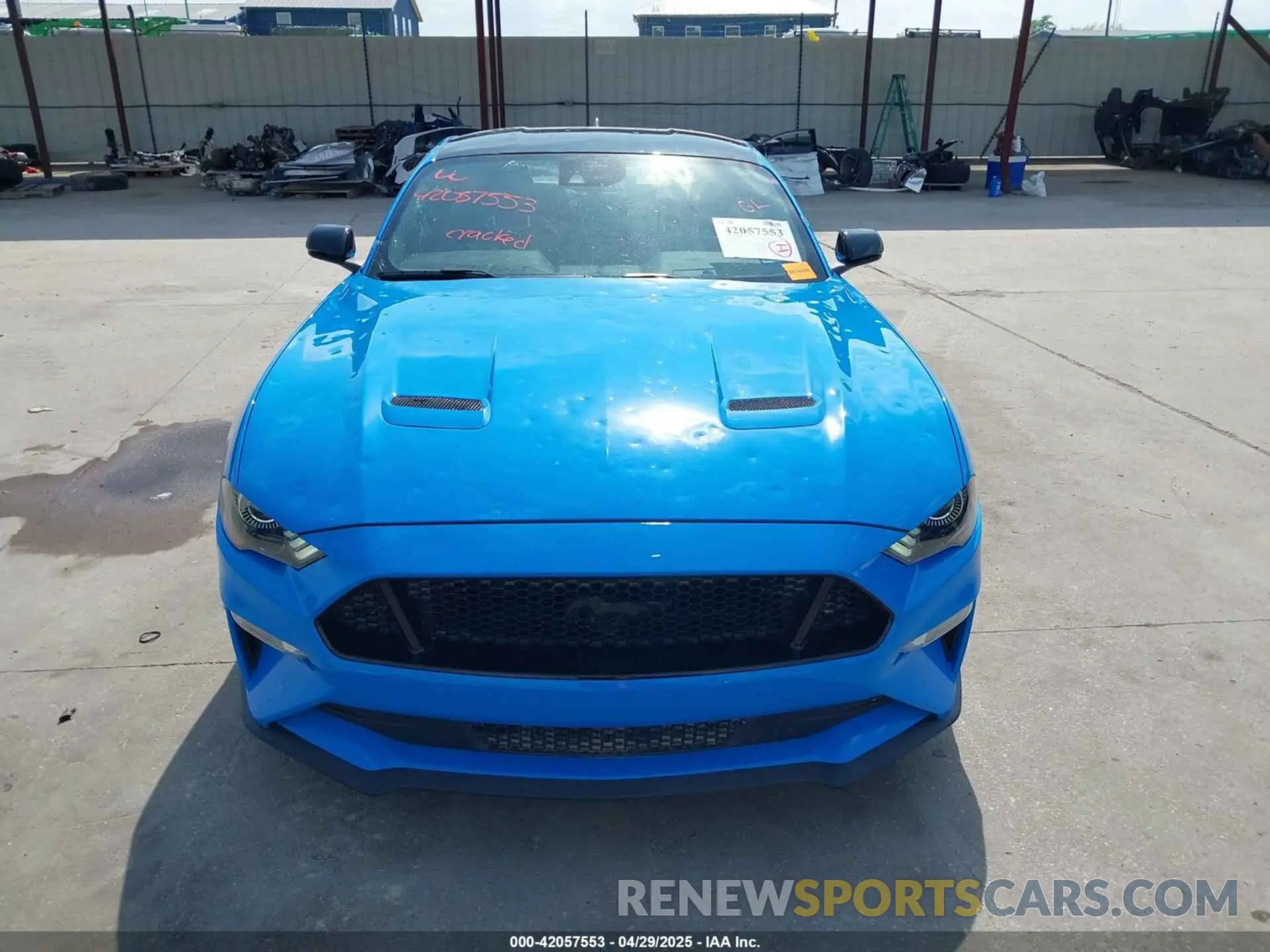 12 Photograph of a damaged car 1FA6P8CF4N5142081 FORD MUSTANG 2022