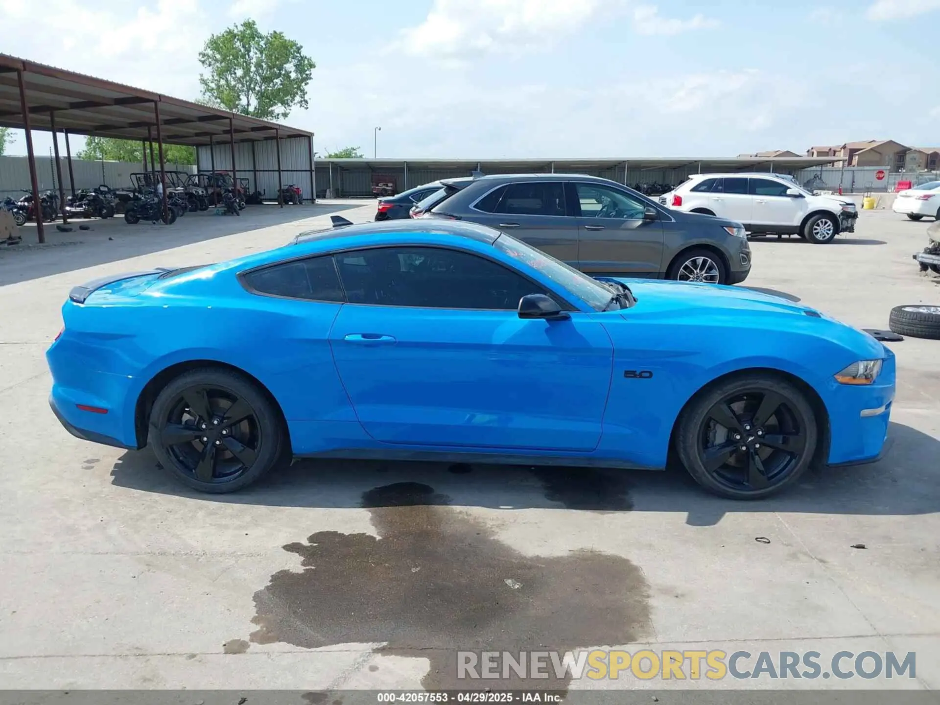 13 Photograph of a damaged car 1FA6P8CF4N5142081 FORD MUSTANG 2022