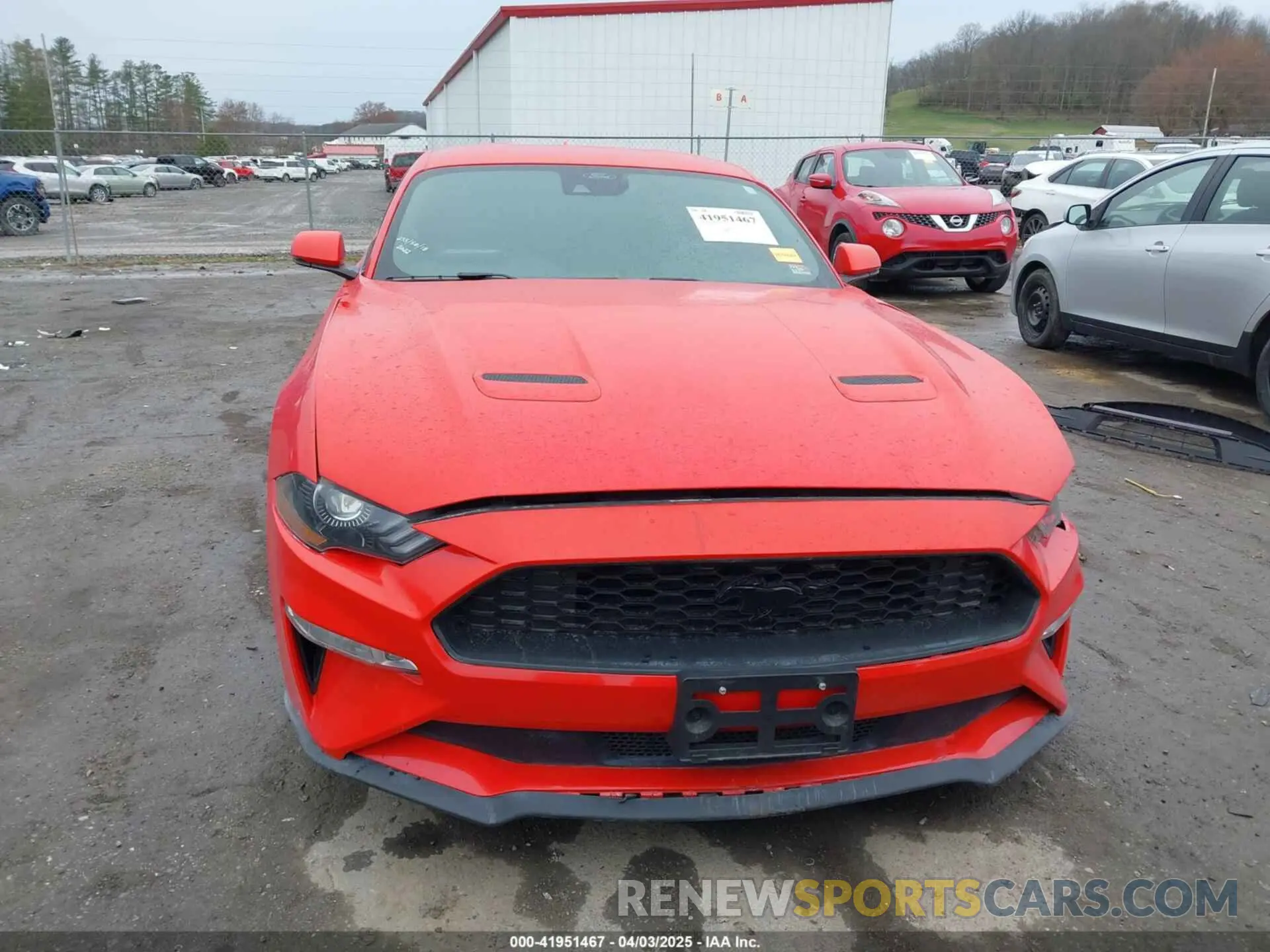 13 Photograph of a damaged car 1FA6P8CF5N5113642 FORD MUSTANG 2022