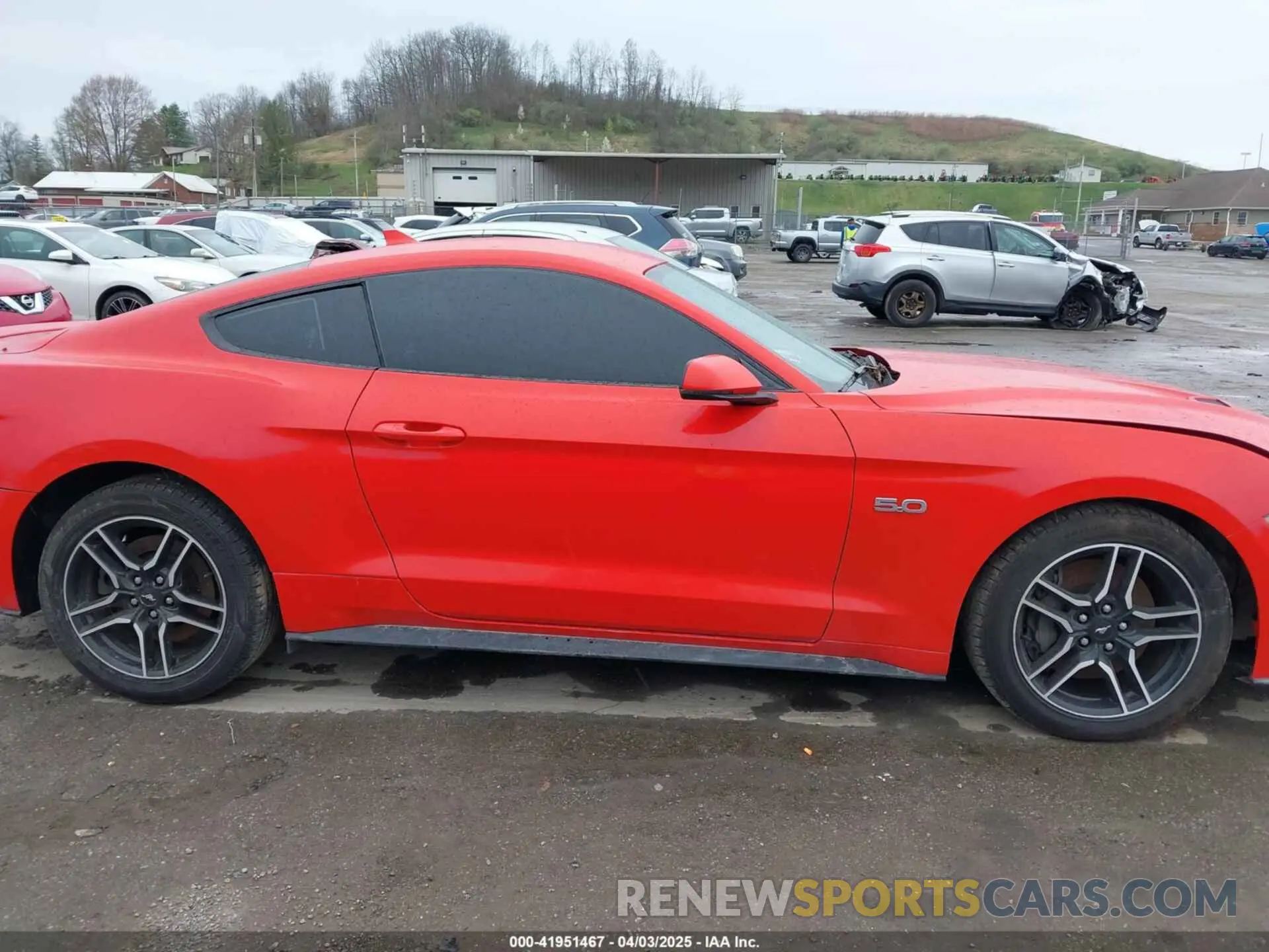 14 Photograph of a damaged car 1FA6P8CF5N5113642 FORD MUSTANG 2022