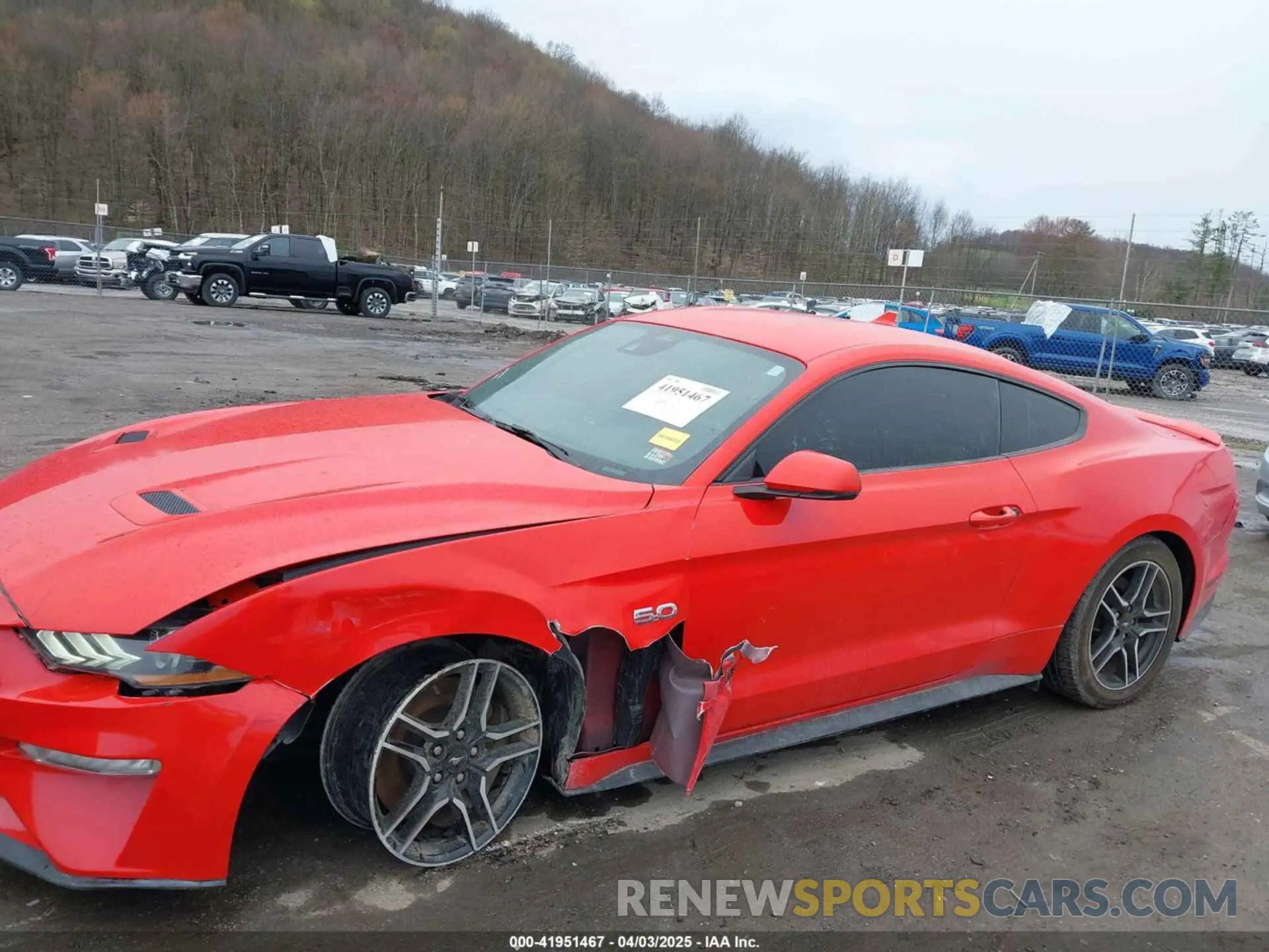 6 Photograph of a damaged car 1FA6P8CF5N5113642 FORD MUSTANG 2022