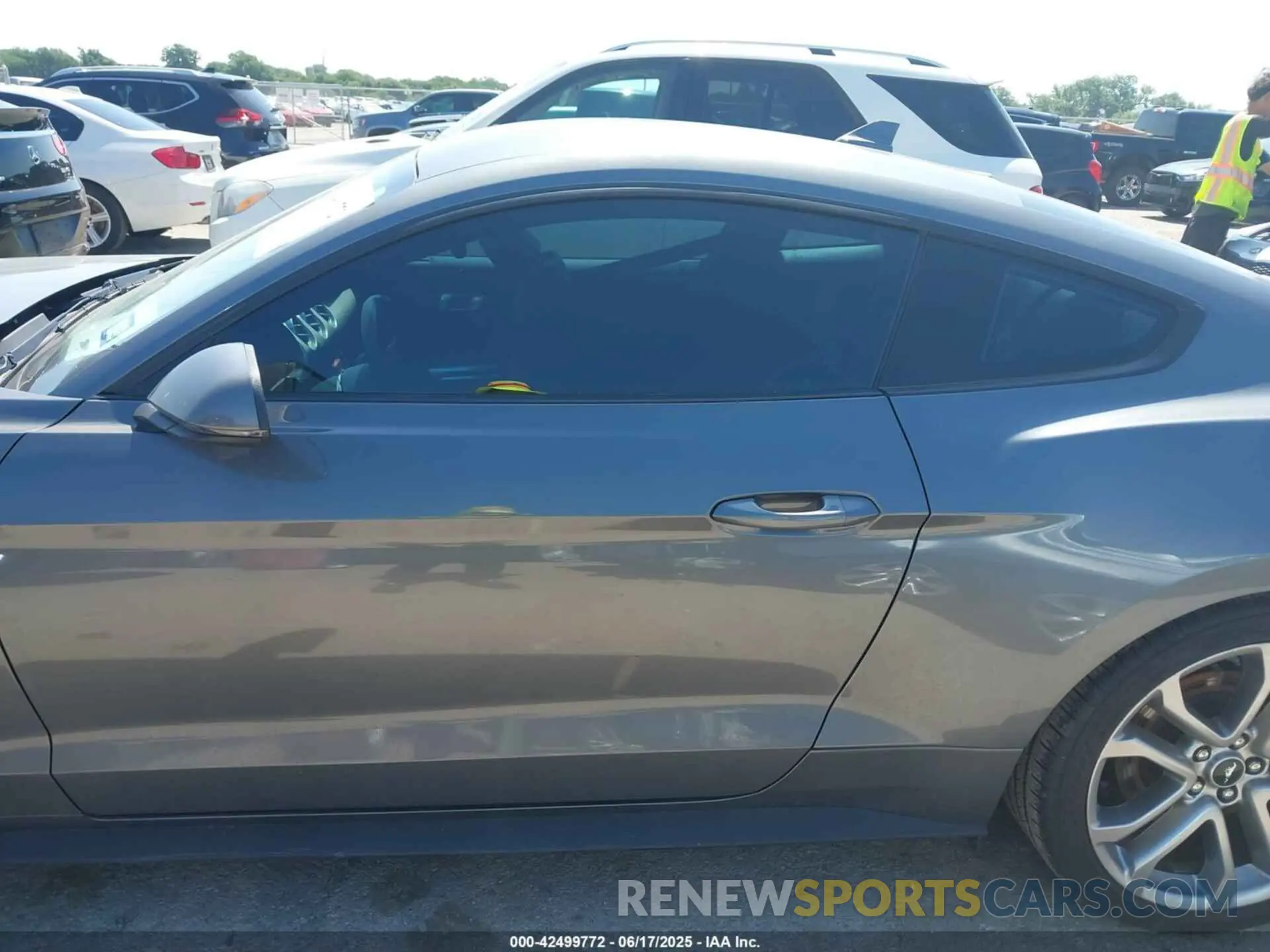 14 Photograph of a damaged car 1FA6P8CF5N5131087 FORD MUSTANG 2022