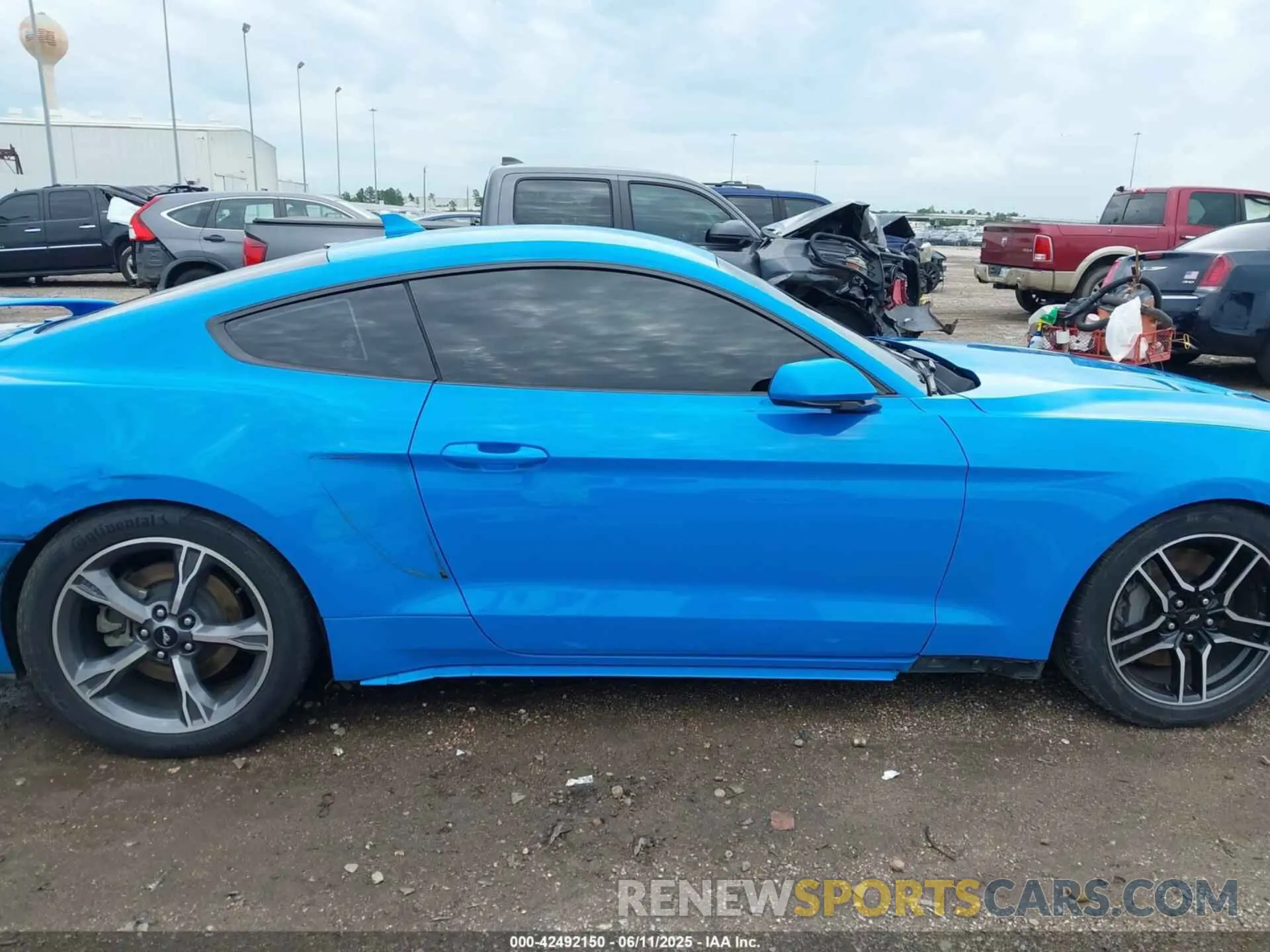 14 Photograph of a damaged car 1FA6P8CF5N5144311 FORD MUSTANG 2022