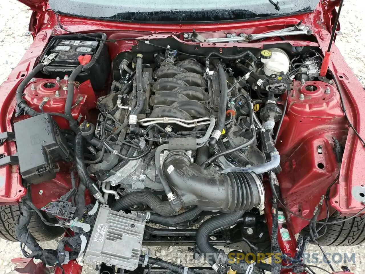 11 Photograph of a damaged car 1FA6P8CF6N5110524 FORD MUSTANG 2022