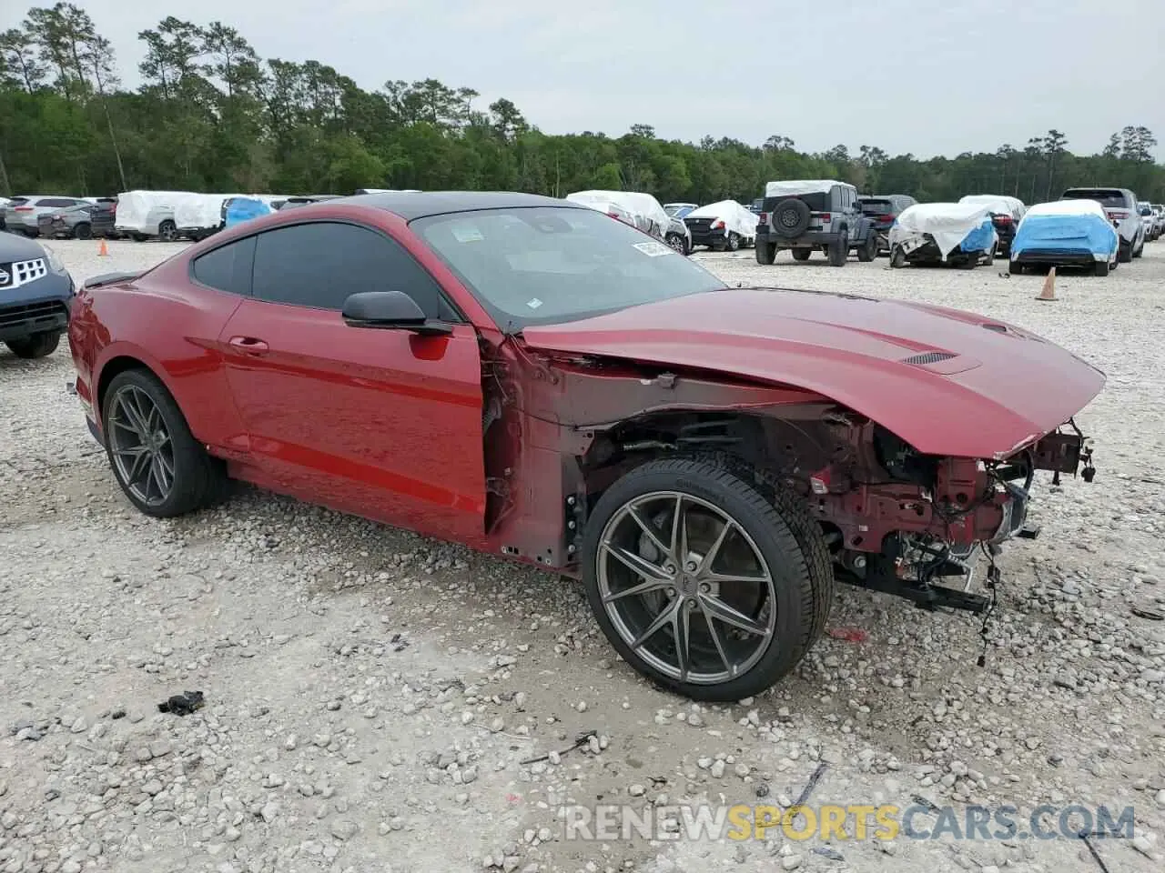 4 Photograph of a damaged car 1FA6P8CF6N5110524 FORD MUSTANG 2022