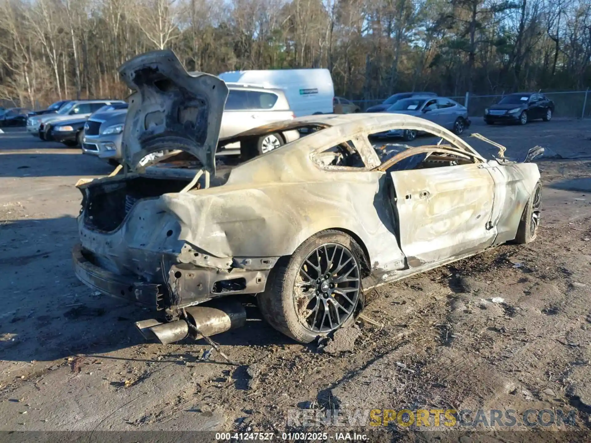 4 Photograph of a damaged car 1FA6P8CF6N5112547 FORD MUSTANG 2022