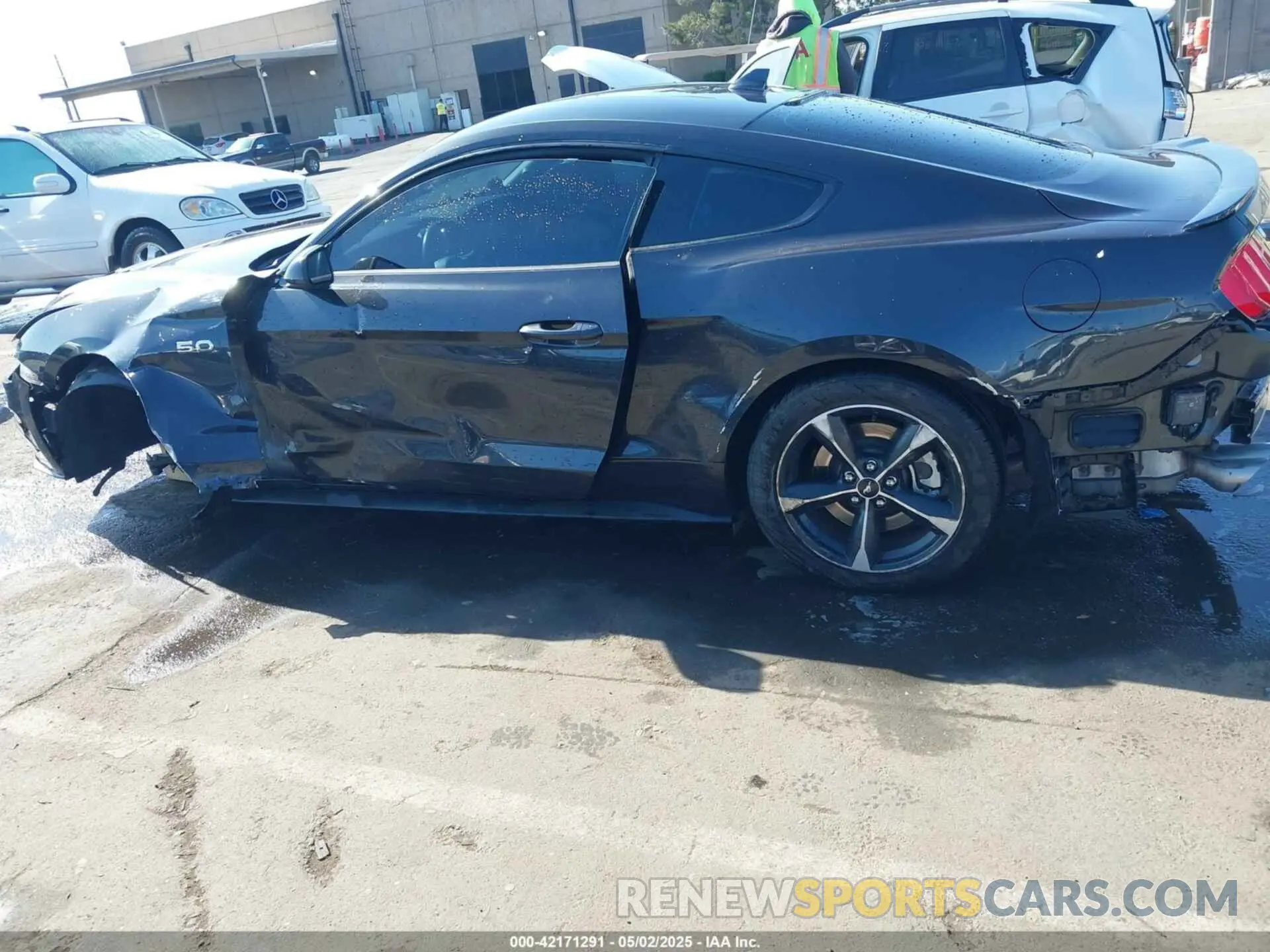 19 Photograph of a damaged car 1FA6P8CF6N5135181 FORD MUSTANG 2022