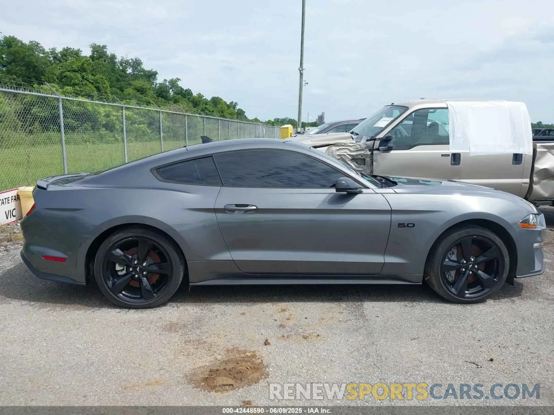 12 Photograph of a damaged car 1FA6P8CF7N5129583 FORD MUSTANG 2022