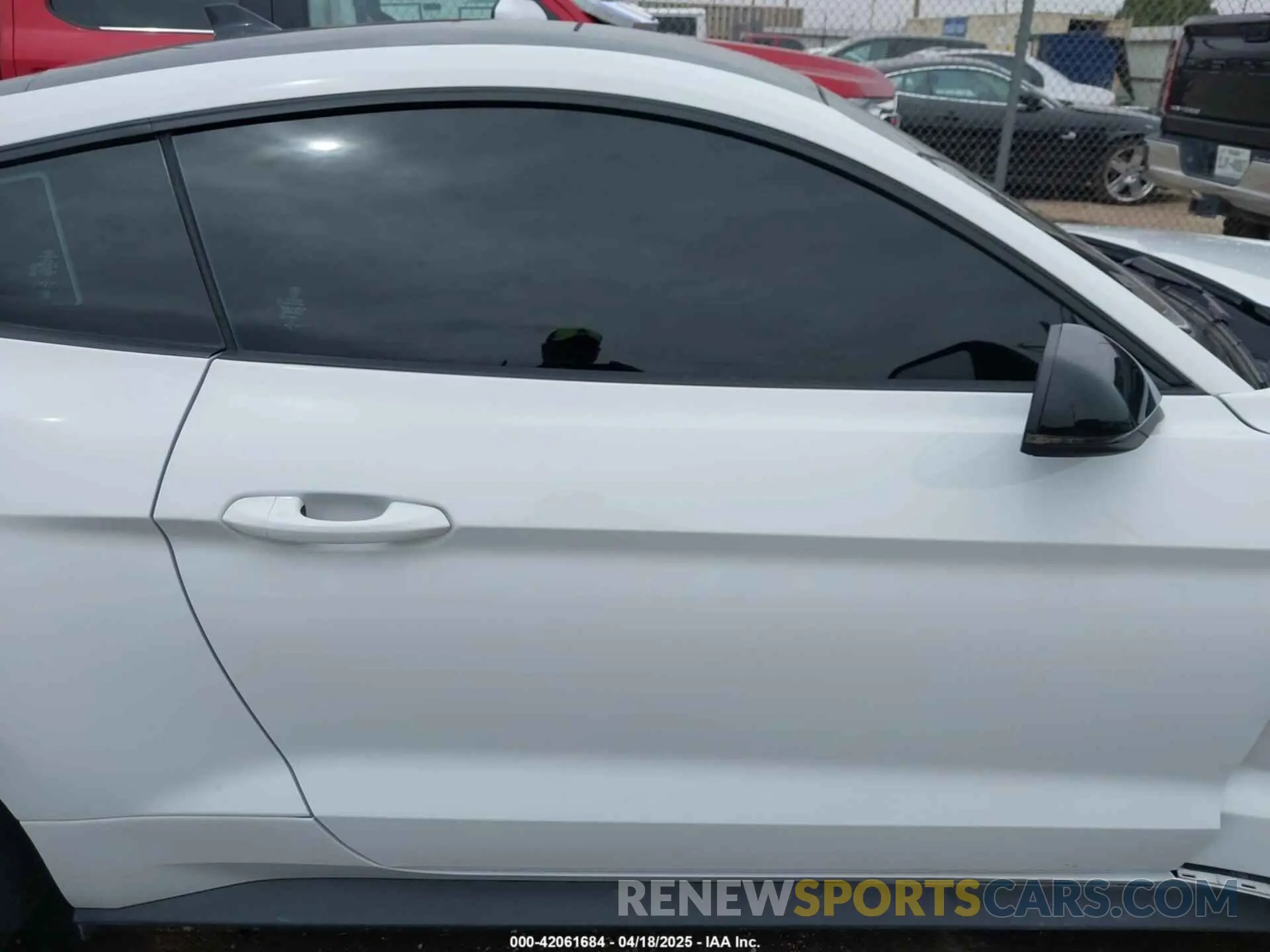 13 Photograph of a damaged car 1FA6P8CF8N5109343 FORD MUSTANG 2022