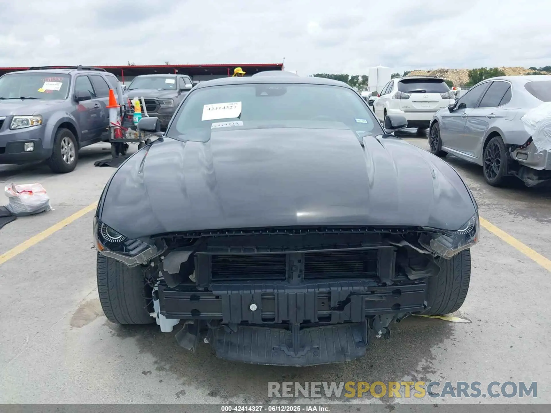 12 Photograph of a damaged car 1FA6P8CF8N5148045 FORD MUSTANG 2022