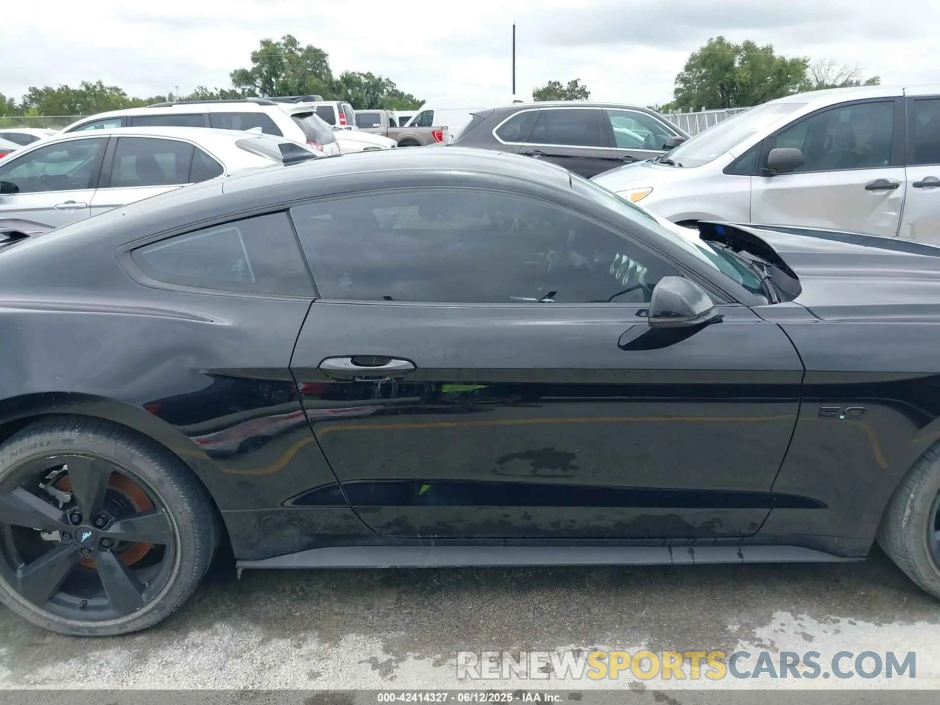 13 Photograph of a damaged car 1FA6P8CF8N5148045 FORD MUSTANG 2022