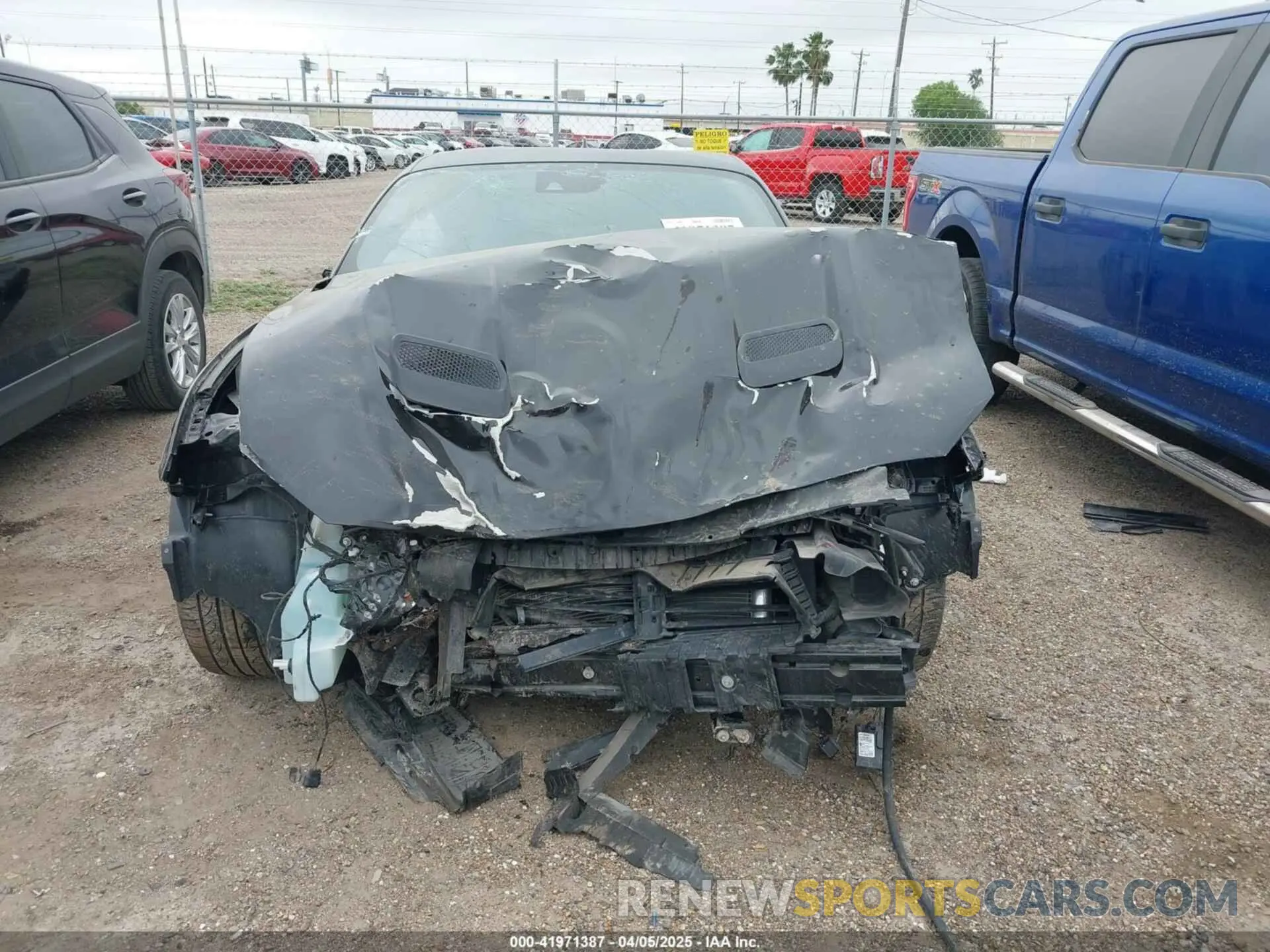 13 Photograph of a damaged car 1FA6P8CF9N5125826 FORD MUSTANG 2022