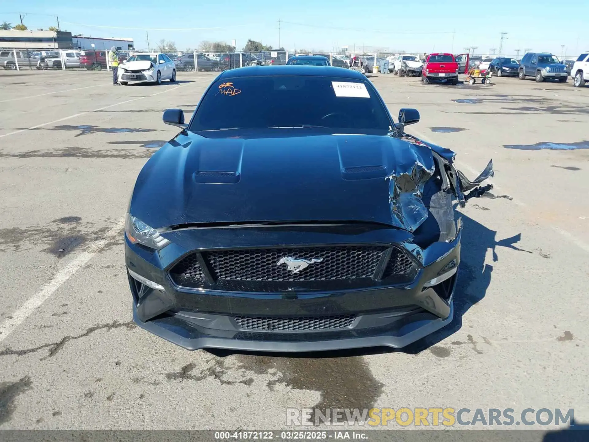 12 Photograph of a damaged car 1FA6P8CFXN5133689 FORD MUSTANG 2022