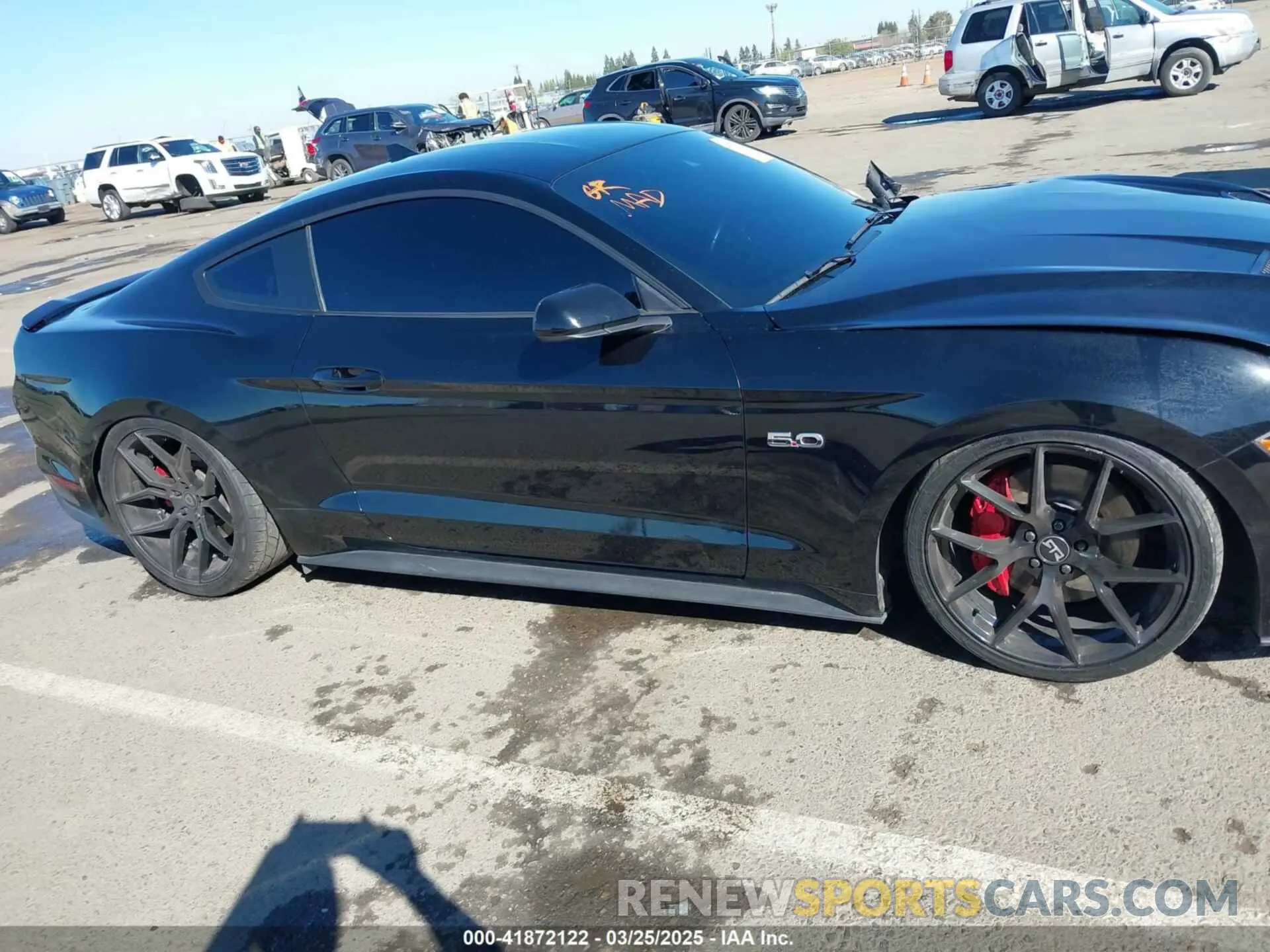 13 Photograph of a damaged car 1FA6P8CFXN5133689 FORD MUSTANG 2022