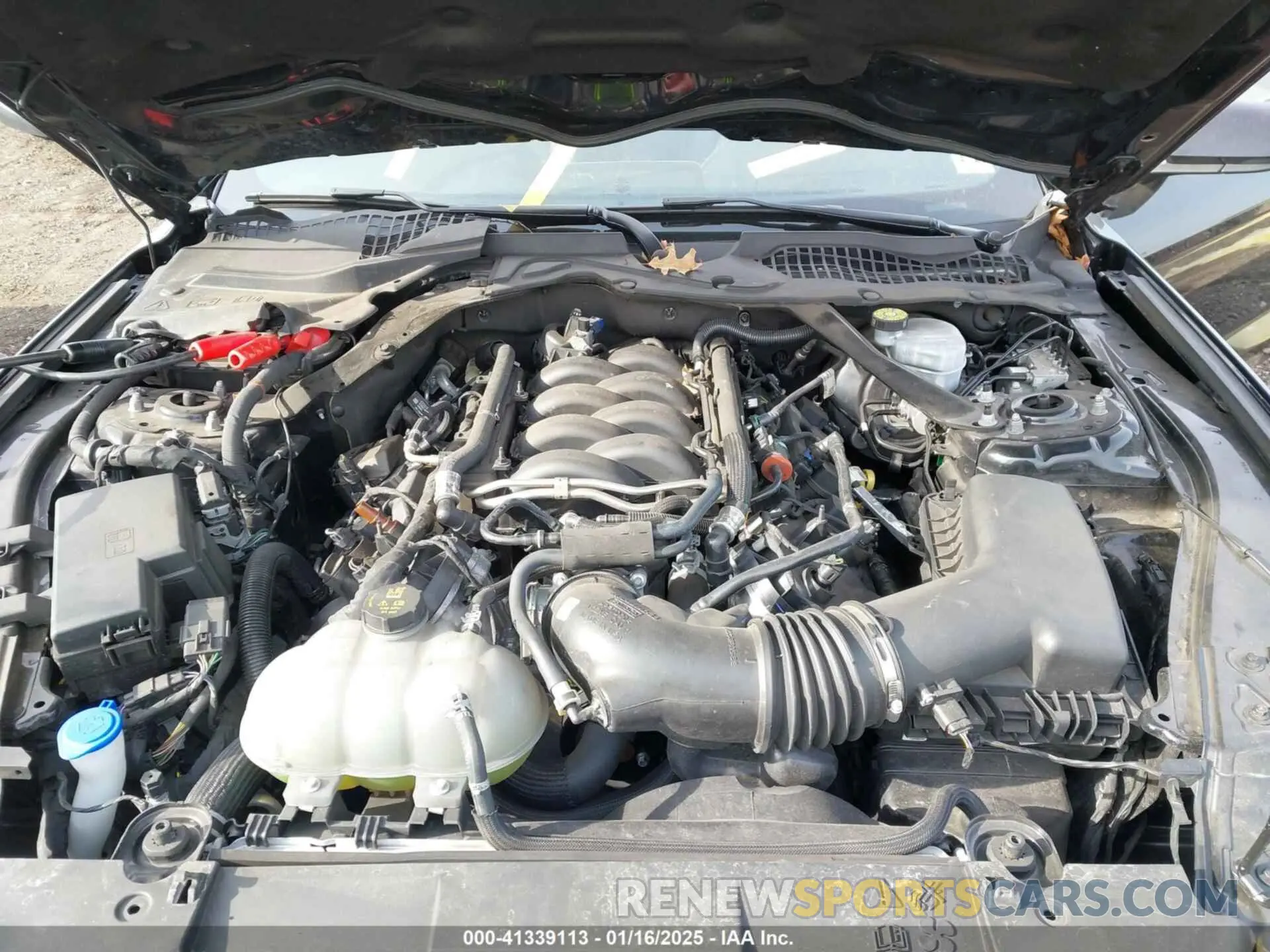 10 Photograph of a damaged car 1FA6P8CFXN5146779 FORD MUSTANG 2022