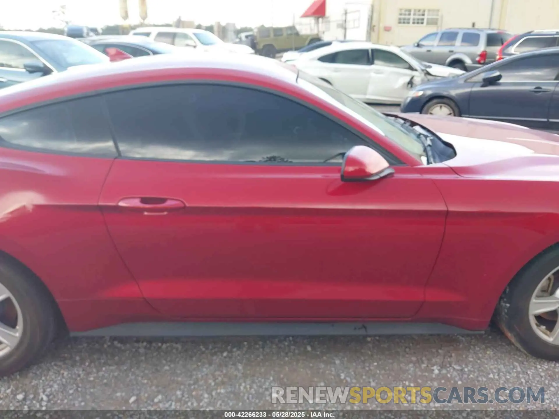 14 Photograph of a damaged car 1FA6P8TH0N5114862 FORD MUSTANG 2022