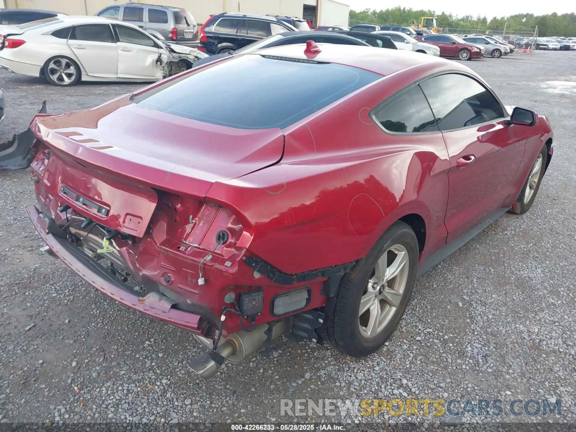 4 Photograph of a damaged car 1FA6P8TH0N5114862 FORD MUSTANG 2022
