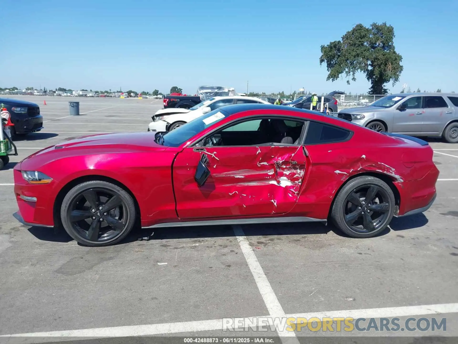 14 Photograph of a damaged car 1FA6P8TH0N5129751 FORD MUSTANG 2022