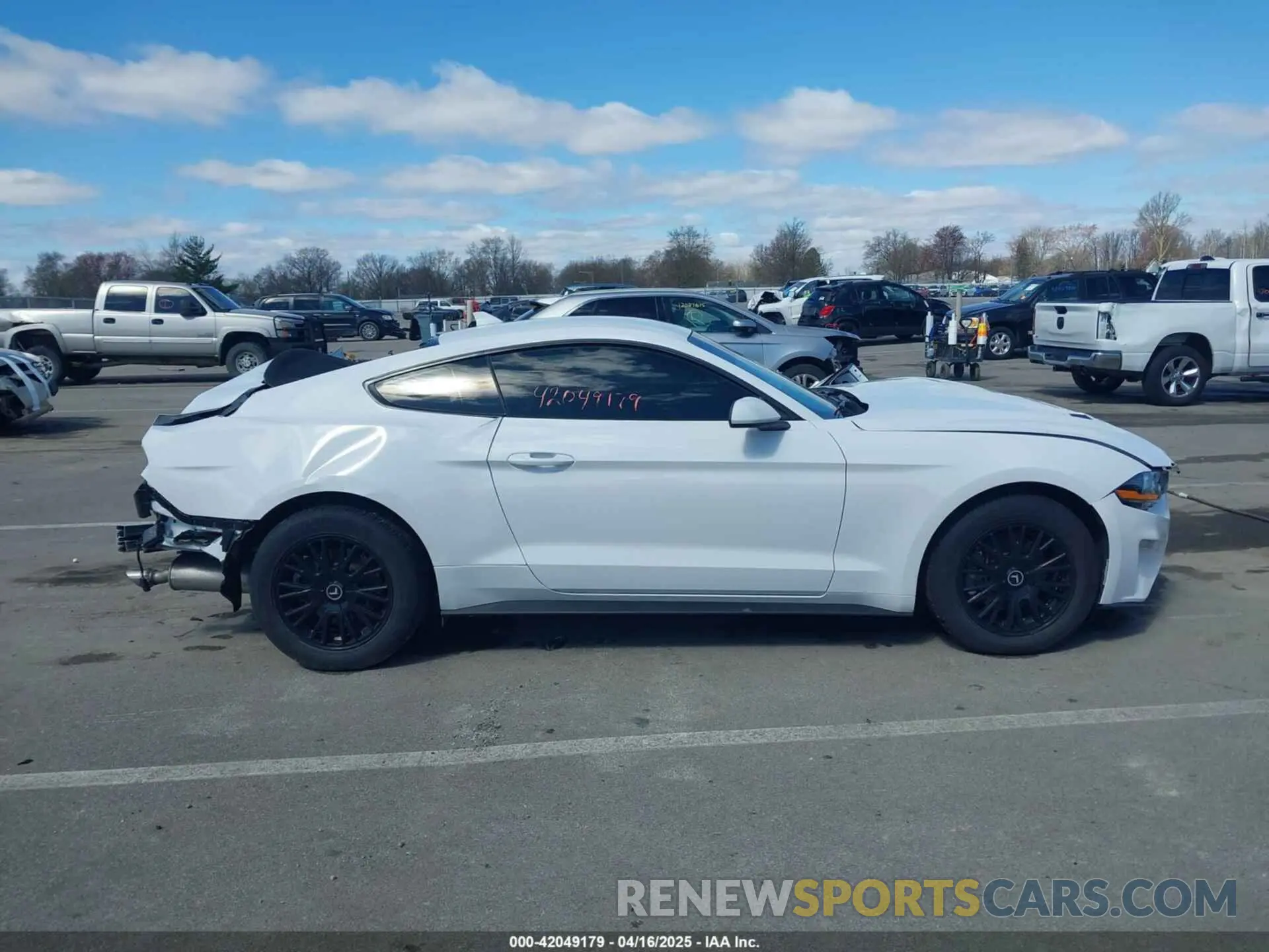 14 Photograph of a damaged car 1FA6P8TH0N5139048 FORD MUSTANG 2022