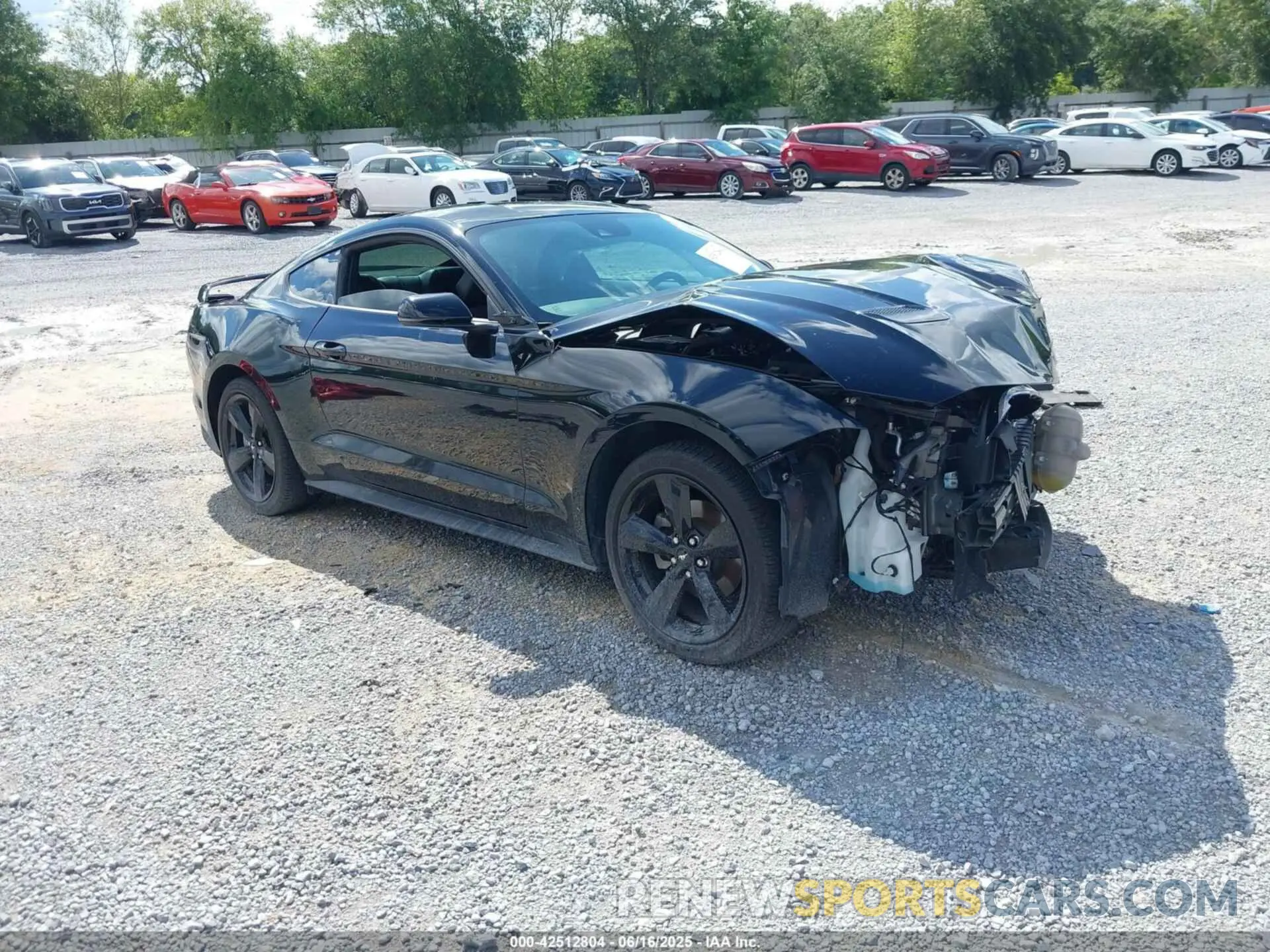 1 Photograph of a damaged car 1FA6P8TH1N5150611 FORD MUSTANG 2022