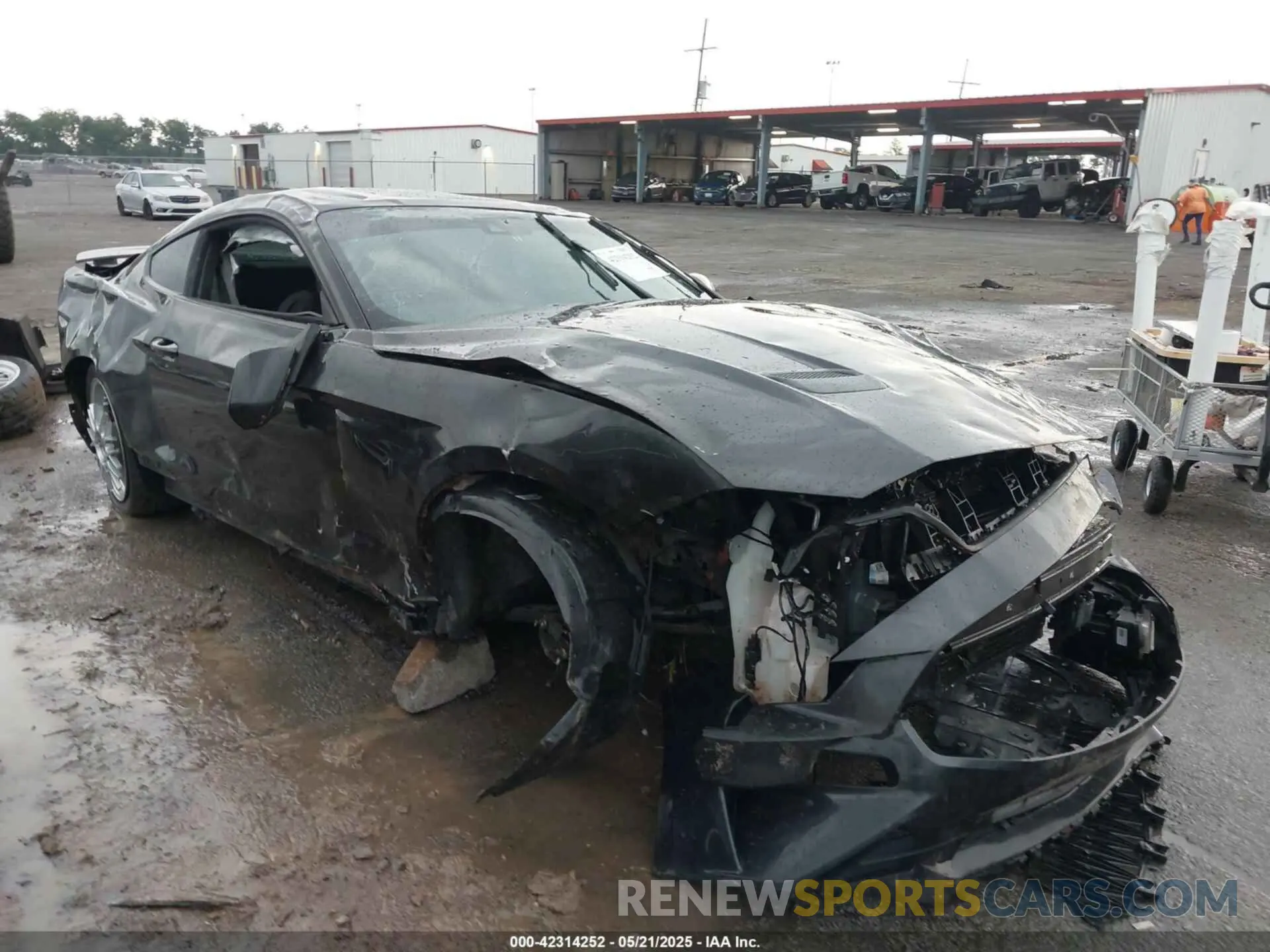 1 Photograph of a damaged car 1FA6P8TH2N5113664 FORD MUSTANG 2022