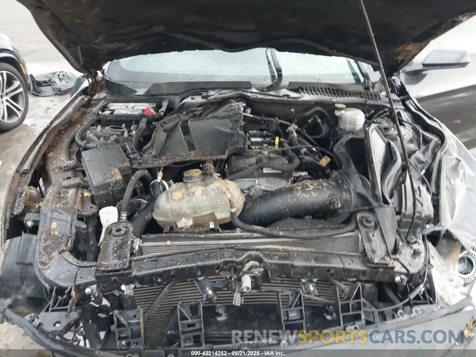 10 Photograph of a damaged car 1FA6P8TH2N5113664 FORD MUSTANG 2022