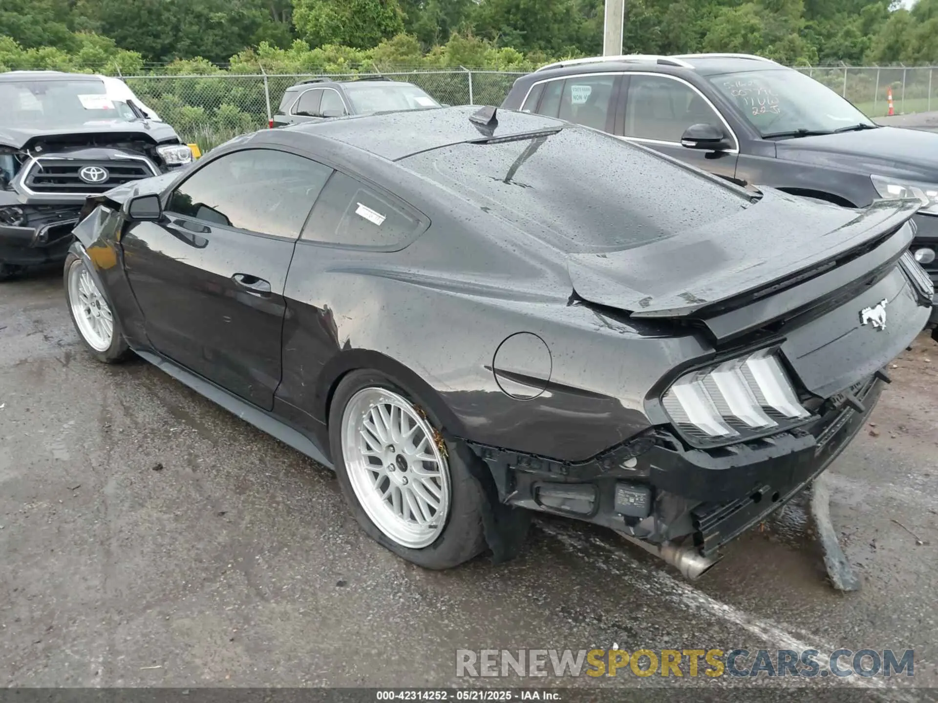 3 Photograph of a damaged car 1FA6P8TH2N5113664 FORD MUSTANG 2022