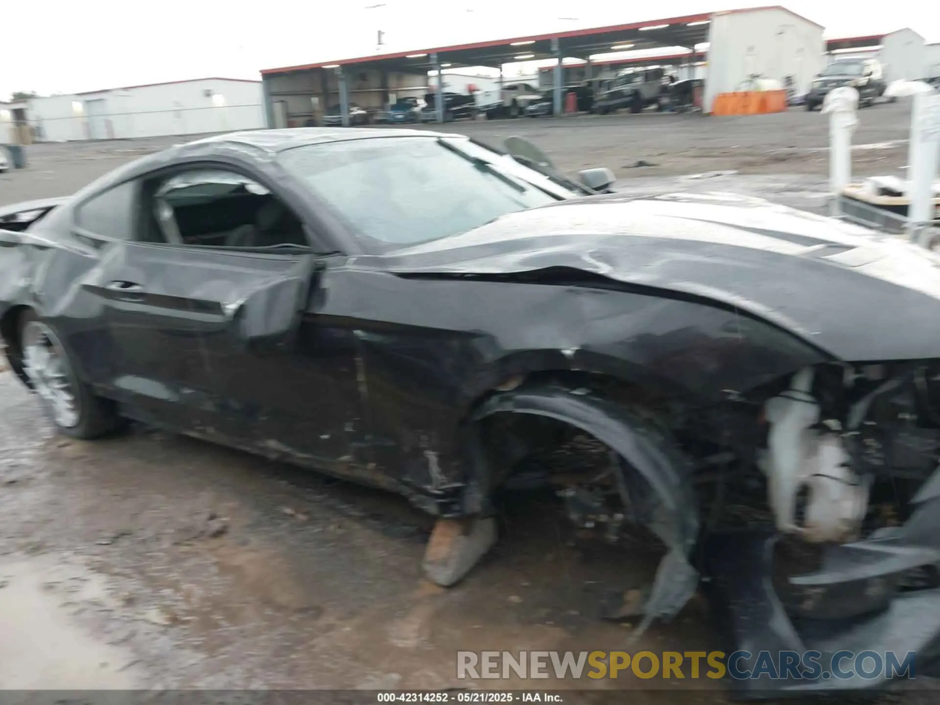 6 Photograph of a damaged car 1FA6P8TH2N5113664 FORD MUSTANG 2022