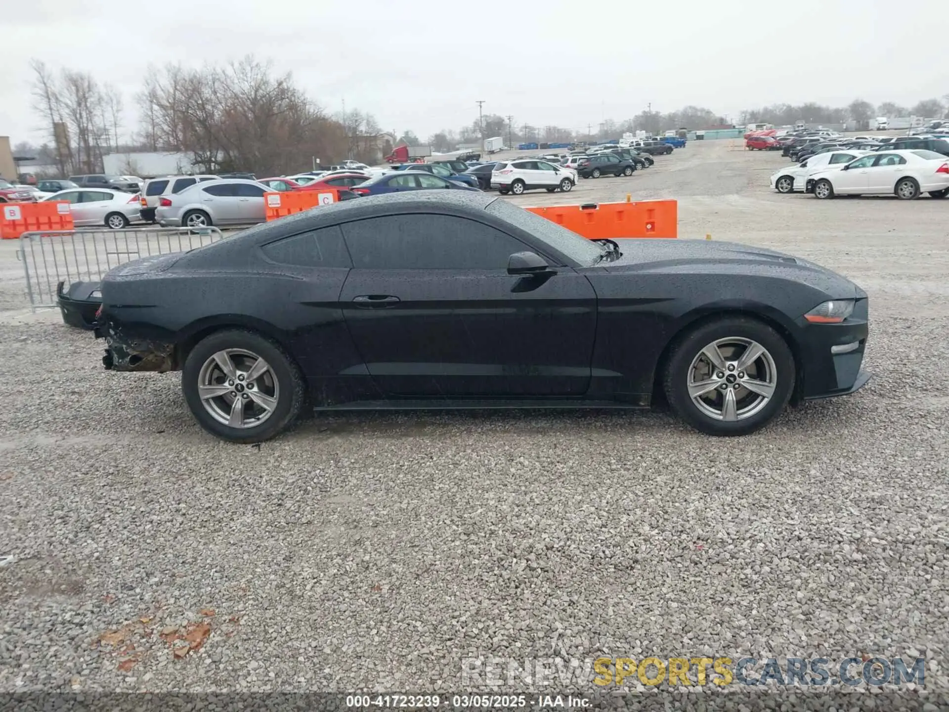 13 Photograph of a damaged car 1FA6P8TH2N5133445 FORD MUSTANG 2022