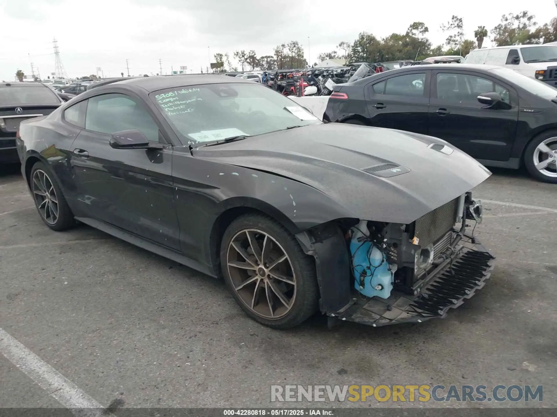 1 Photograph of a damaged car 1FA6P8TH2N5135583 FORD MUSTANG 2022