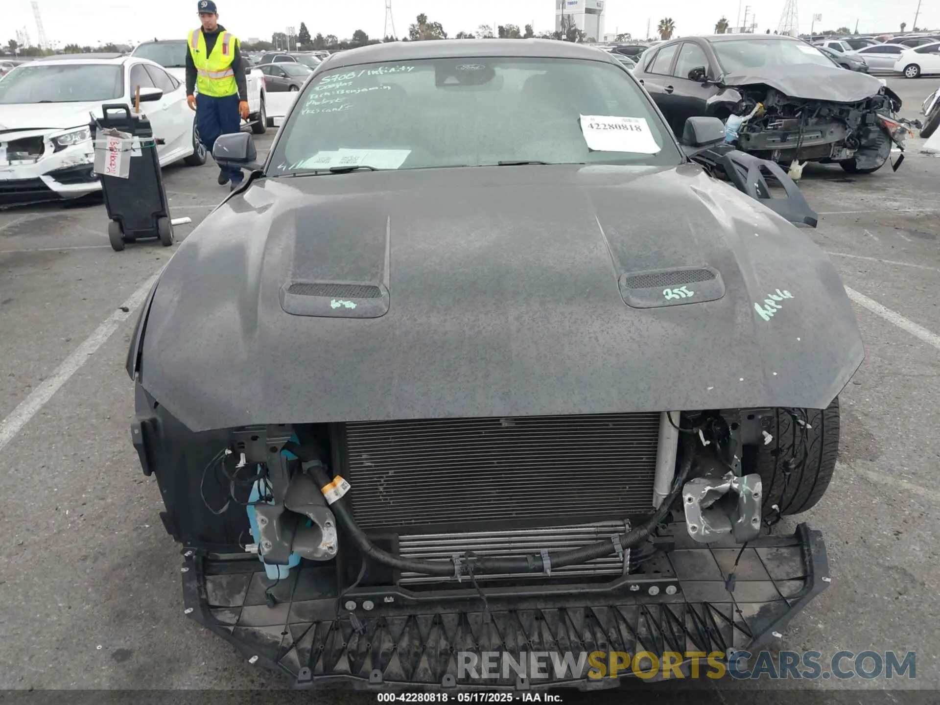 13 Photograph of a damaged car 1FA6P8TH2N5135583 FORD MUSTANG 2022