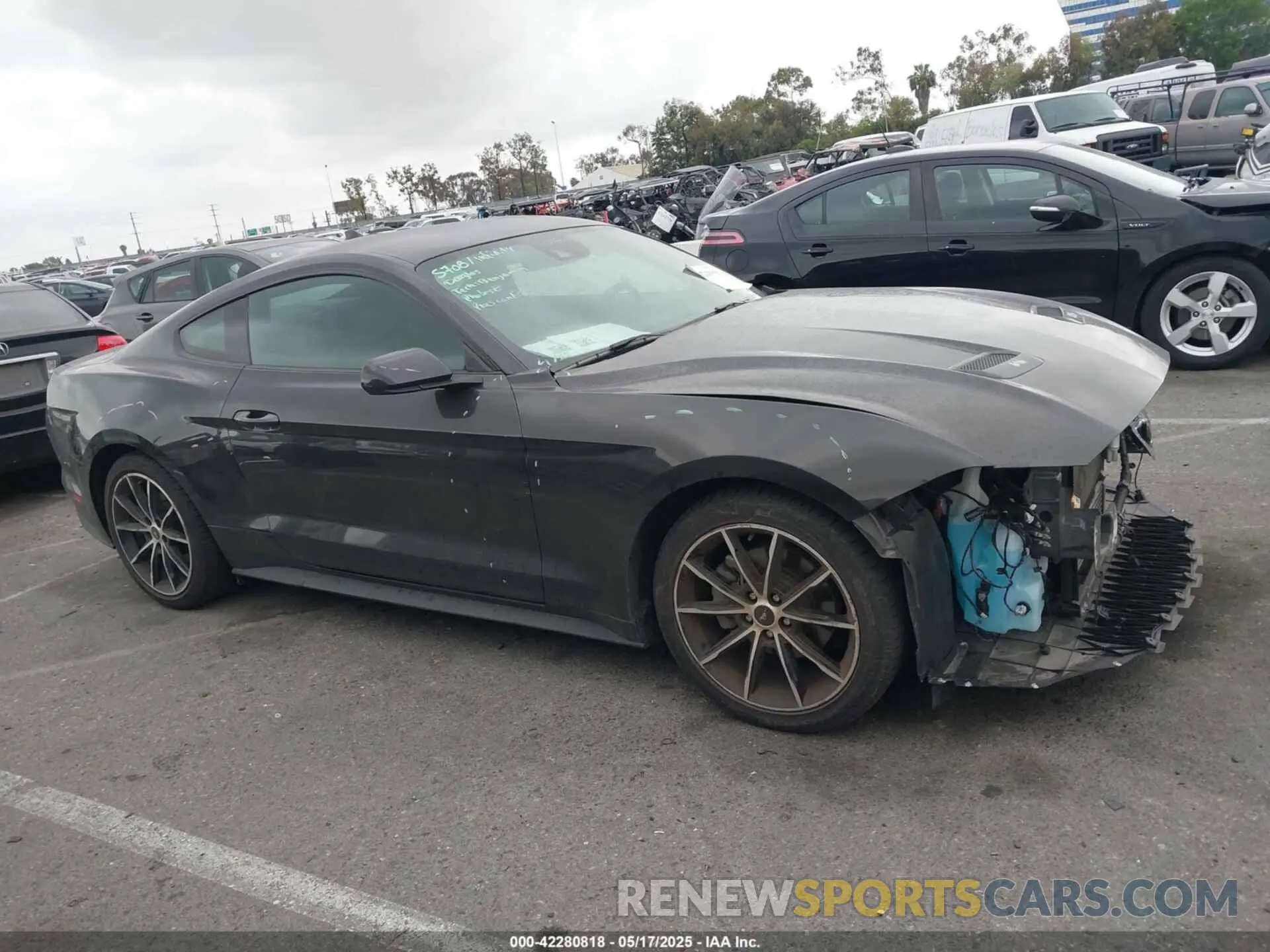 14 Photograph of a damaged car 1FA6P8TH2N5135583 FORD MUSTANG 2022