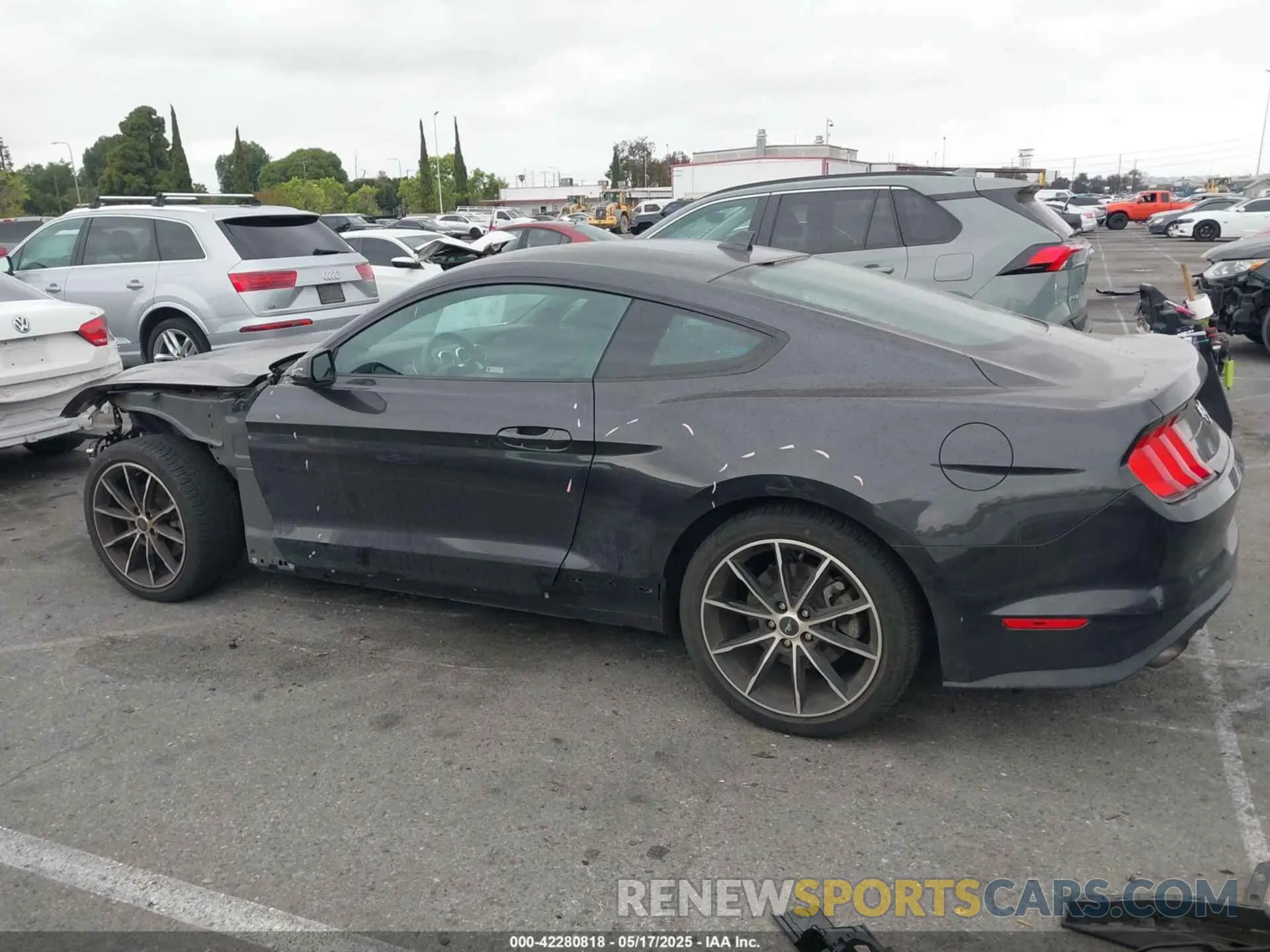15 Photograph of a damaged car 1FA6P8TH2N5135583 FORD MUSTANG 2022