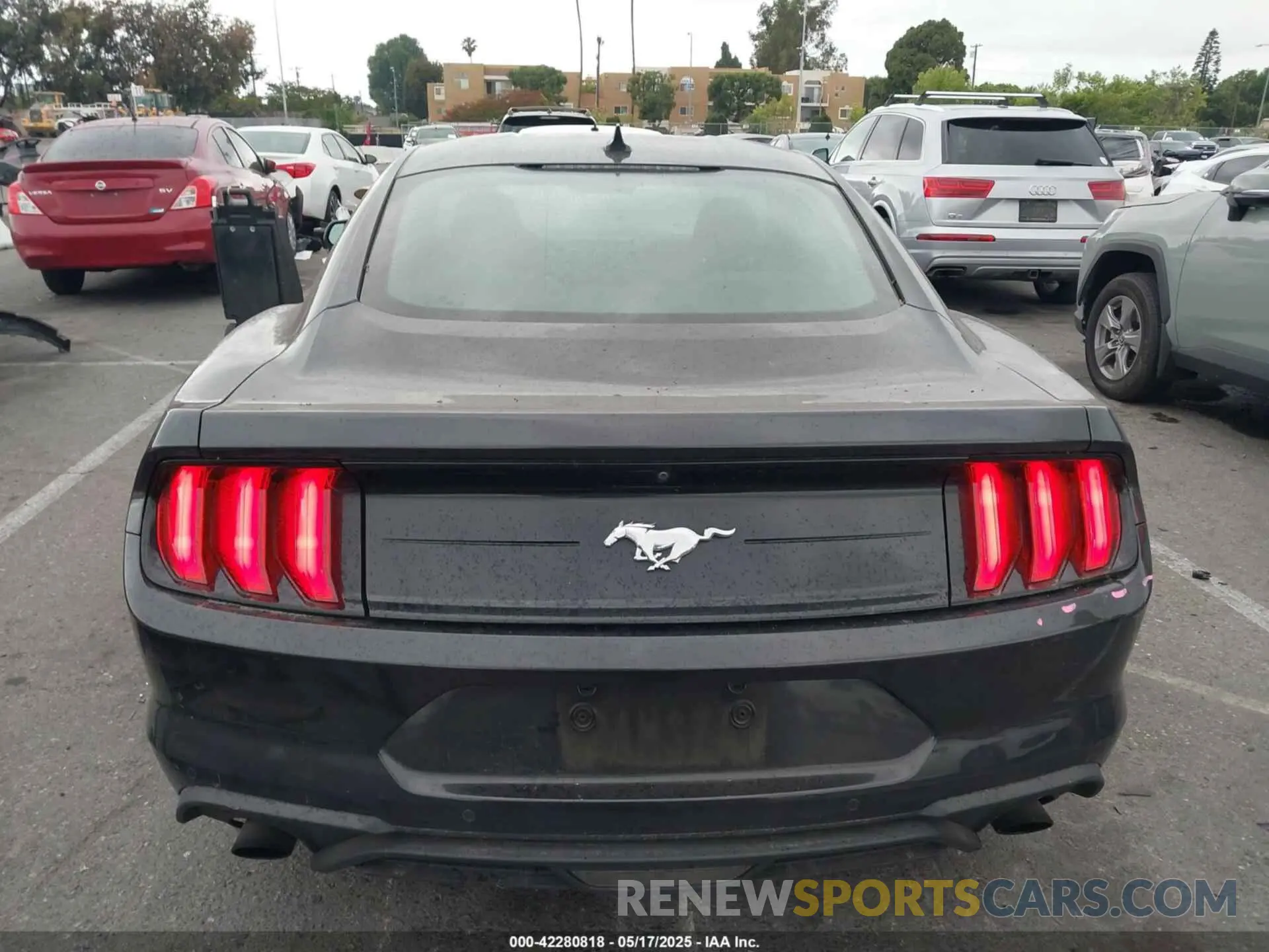 17 Photograph of a damaged car 1FA6P8TH2N5135583 FORD MUSTANG 2022