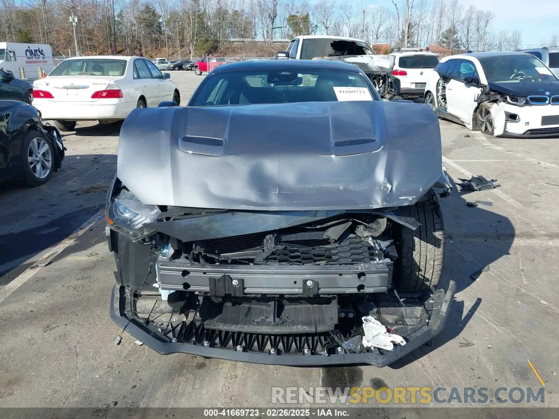12 Photograph of a damaged car 1FA6P8TH2N5141464 FORD MUSTANG 2022