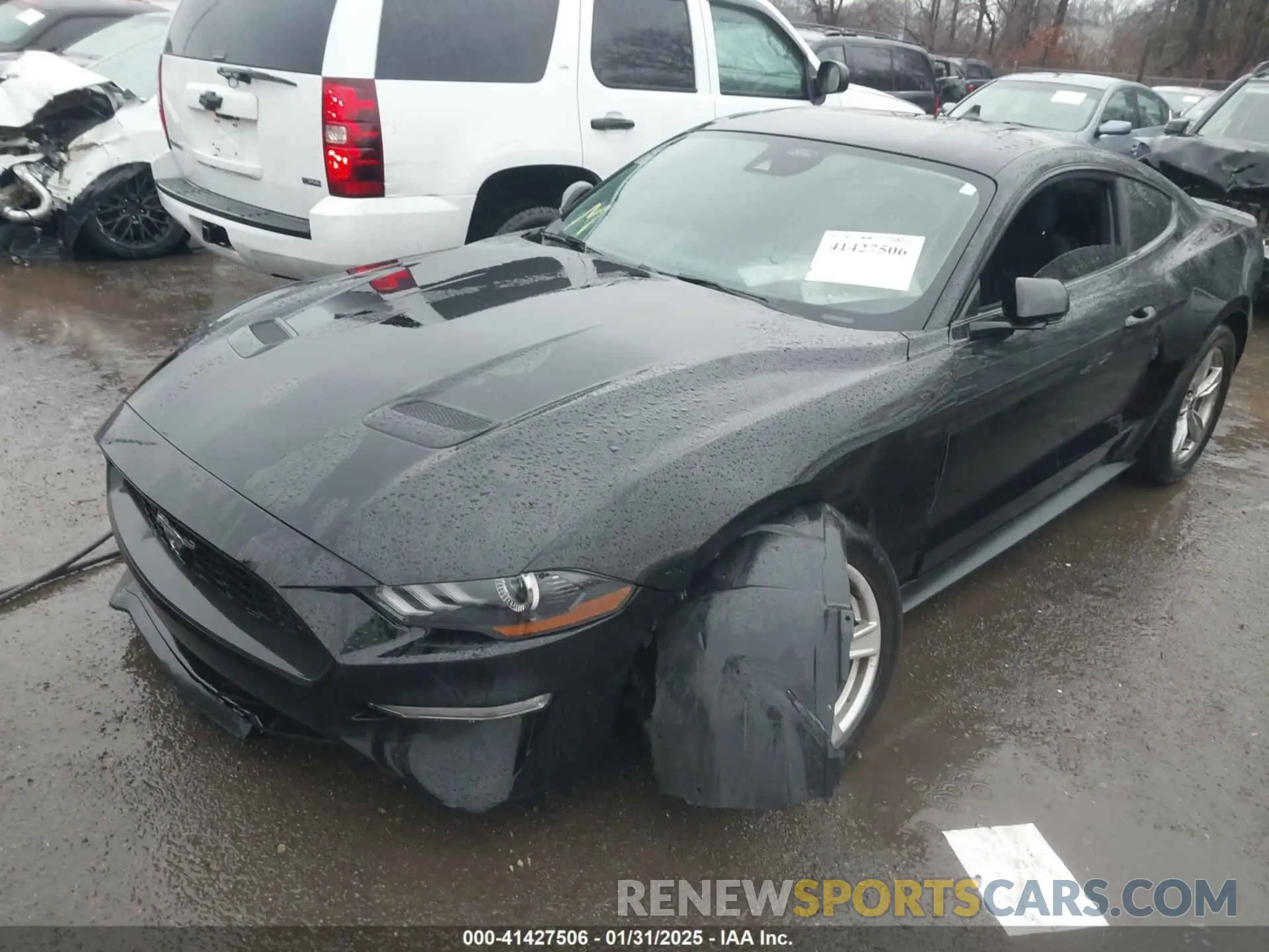 6 Photograph of a damaged car 1FA6P8TH4N5125234 FORD MUSTANG 2022
