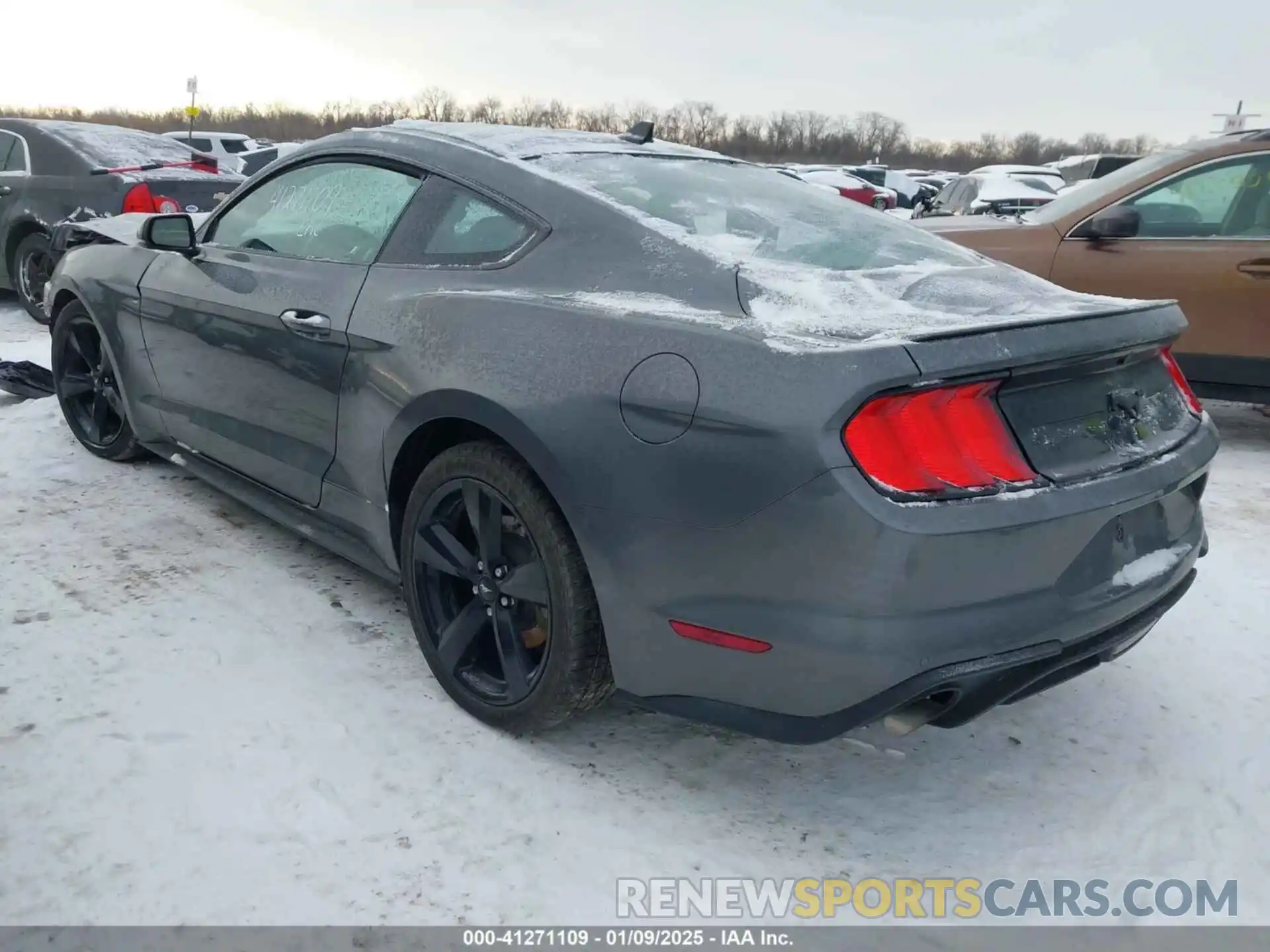 3 Photograph of a damaged car 1FA6P8TH5N5107387 FORD MUSTANG 2022