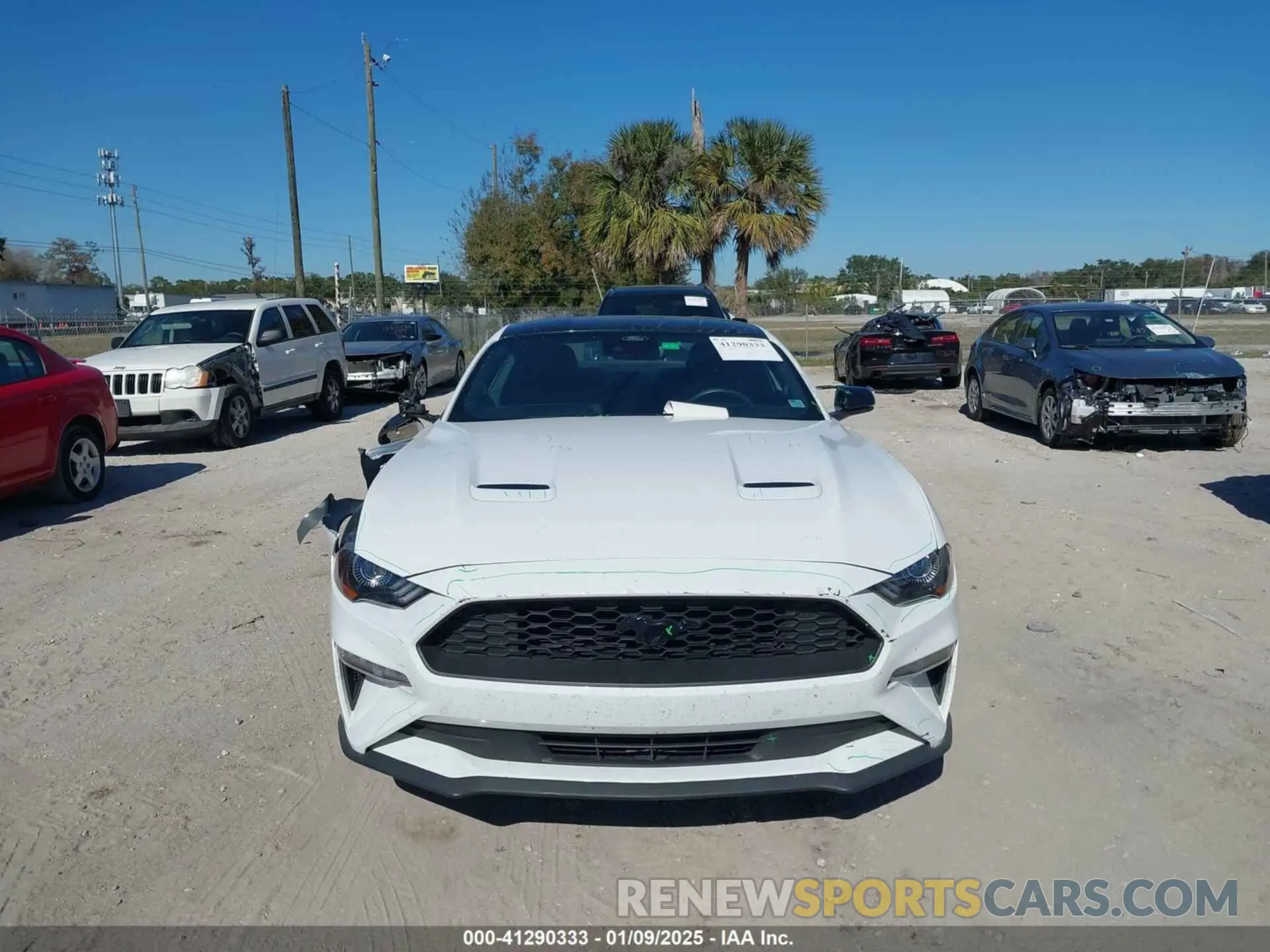 12 Photograph of a damaged car 1FA6P8TH5N5139871 FORD MUSTANG 2022