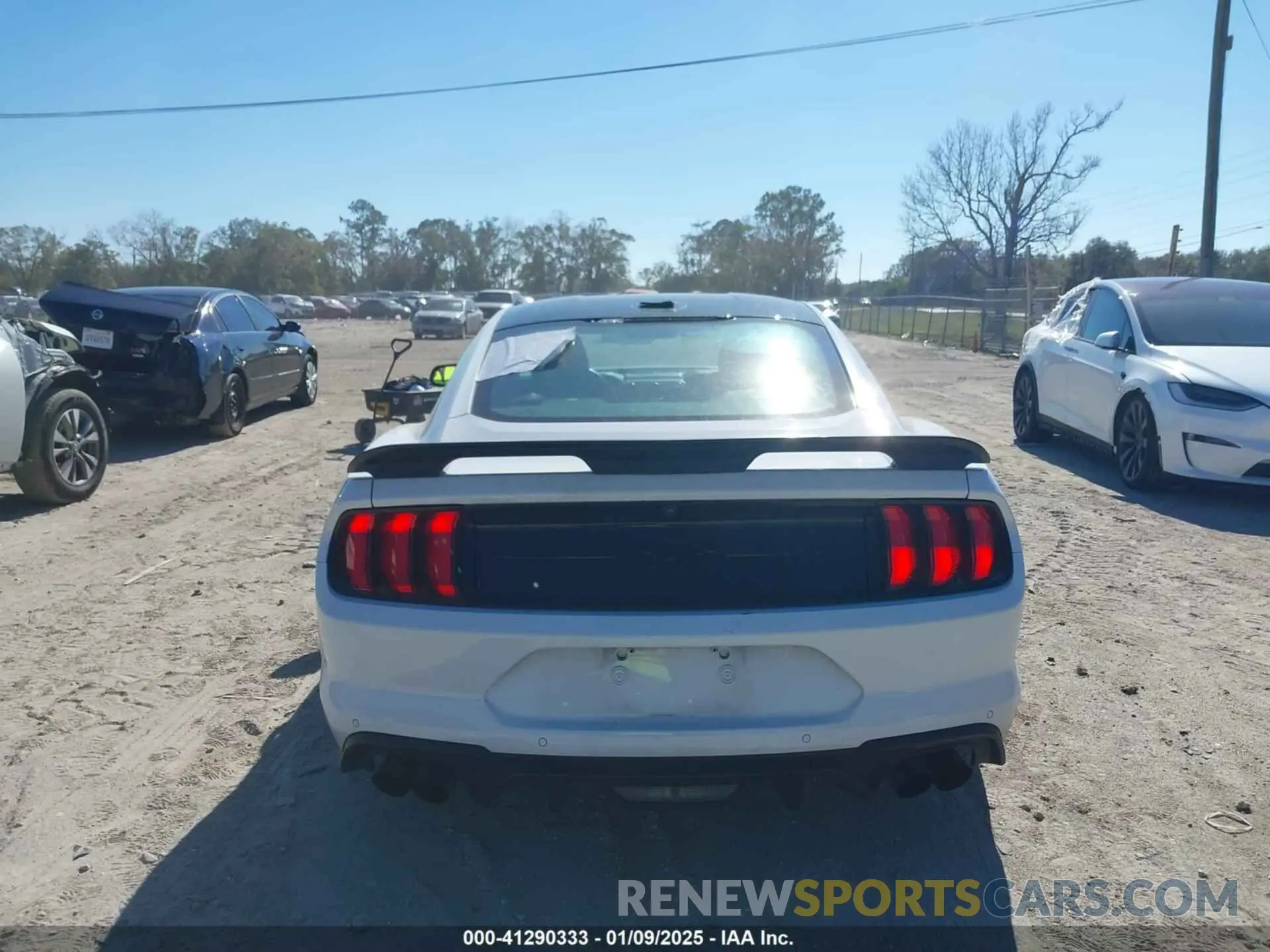 16 Photograph of a damaged car 1FA6P8TH5N5139871 FORD MUSTANG 2022