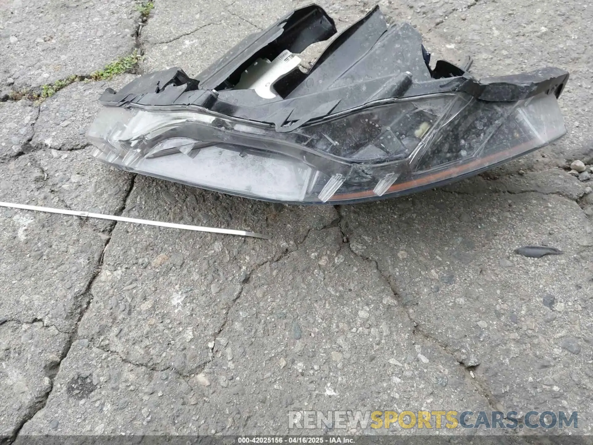 12 Photograph of a damaged car 1FA6P8TH5N5142558 FORD MUSTANG 2022