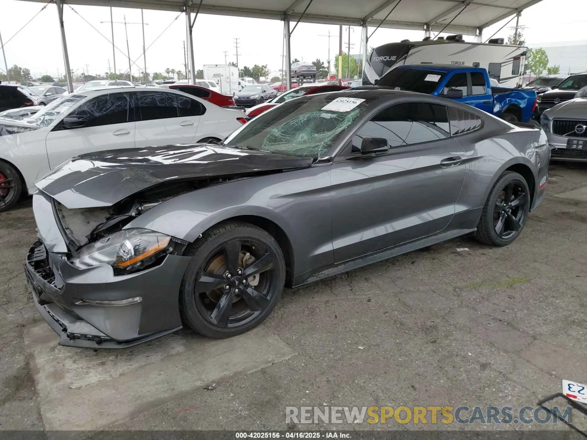 2 Photograph of a damaged car 1FA6P8TH5N5142558 FORD MUSTANG 2022