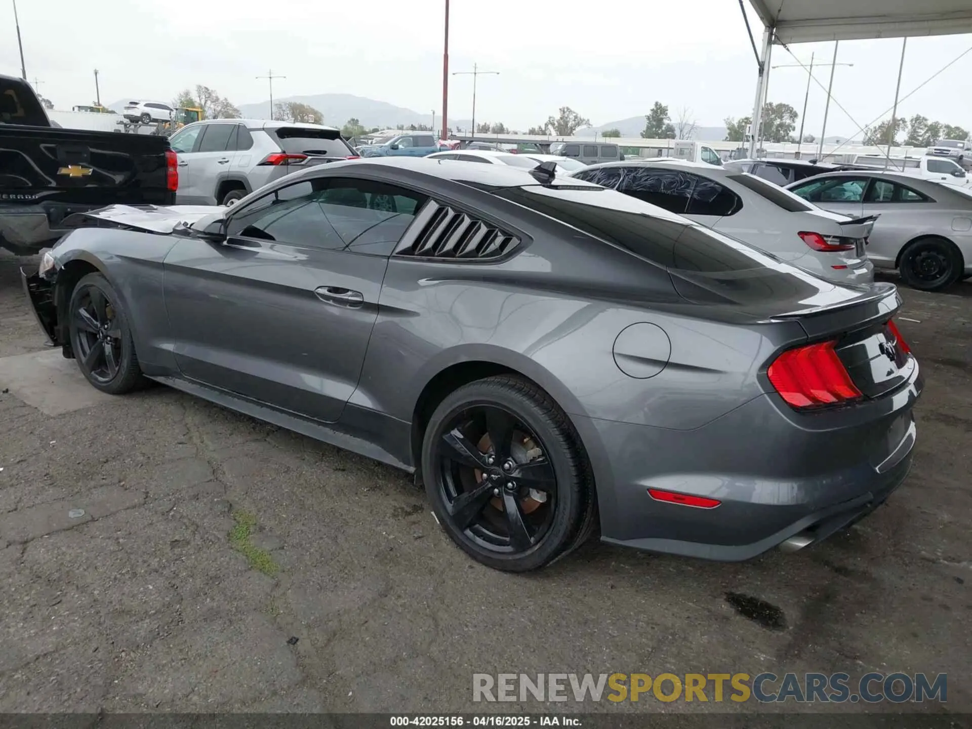 3 Photograph of a damaged car 1FA6P8TH5N5142558 FORD MUSTANG 2022