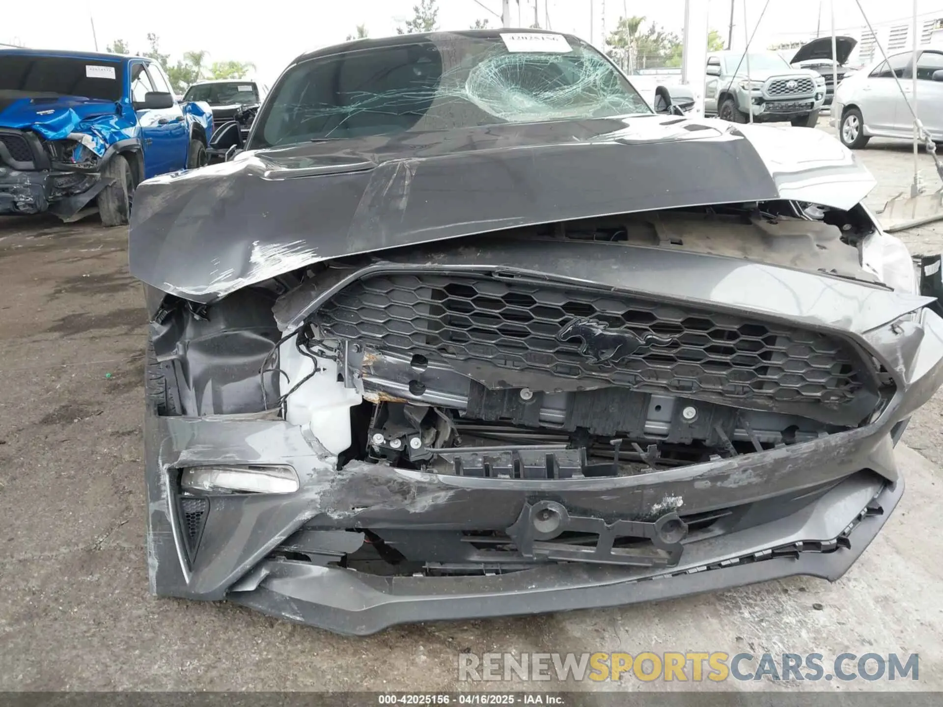 6 Photograph of a damaged car 1FA6P8TH5N5142558 FORD MUSTANG 2022