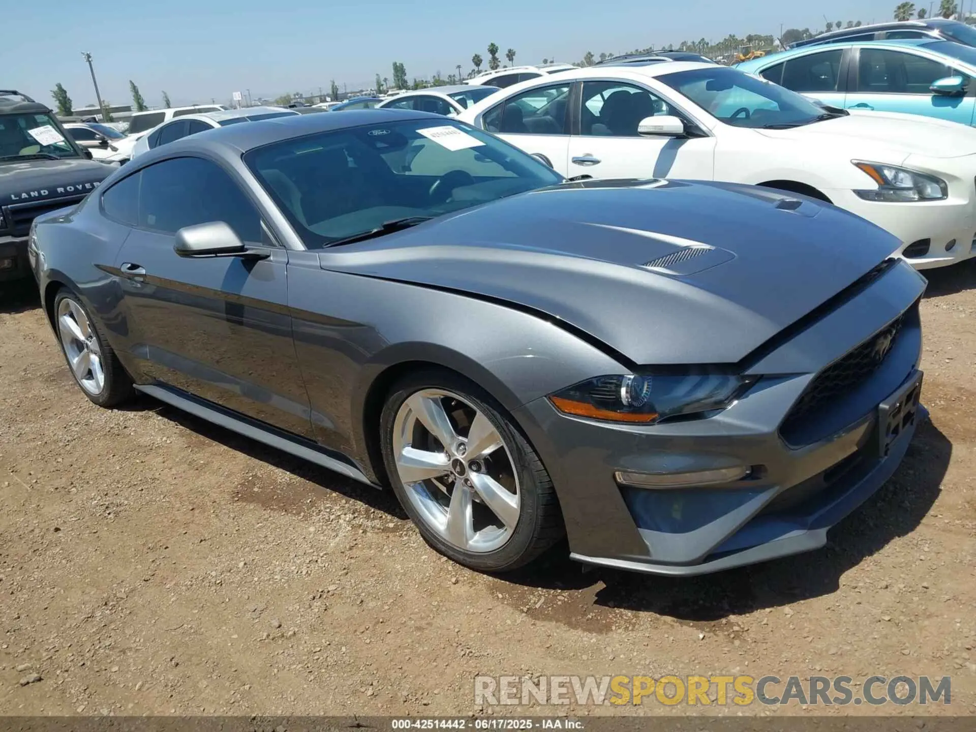 1 Photograph of a damaged car 1FA6P8TH5N5147971 FORD MUSTANG 2022