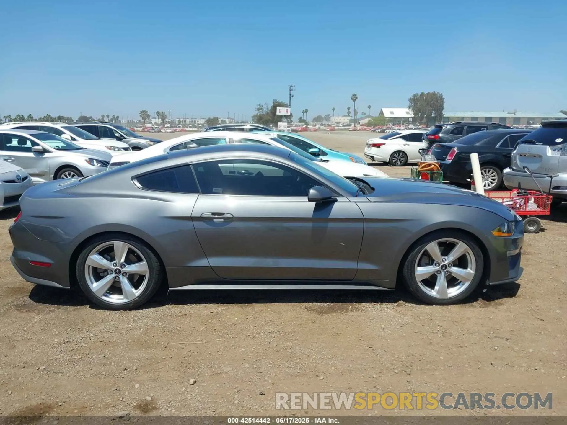 13 Photograph of a damaged car 1FA6P8TH5N5147971 FORD MUSTANG 2022
