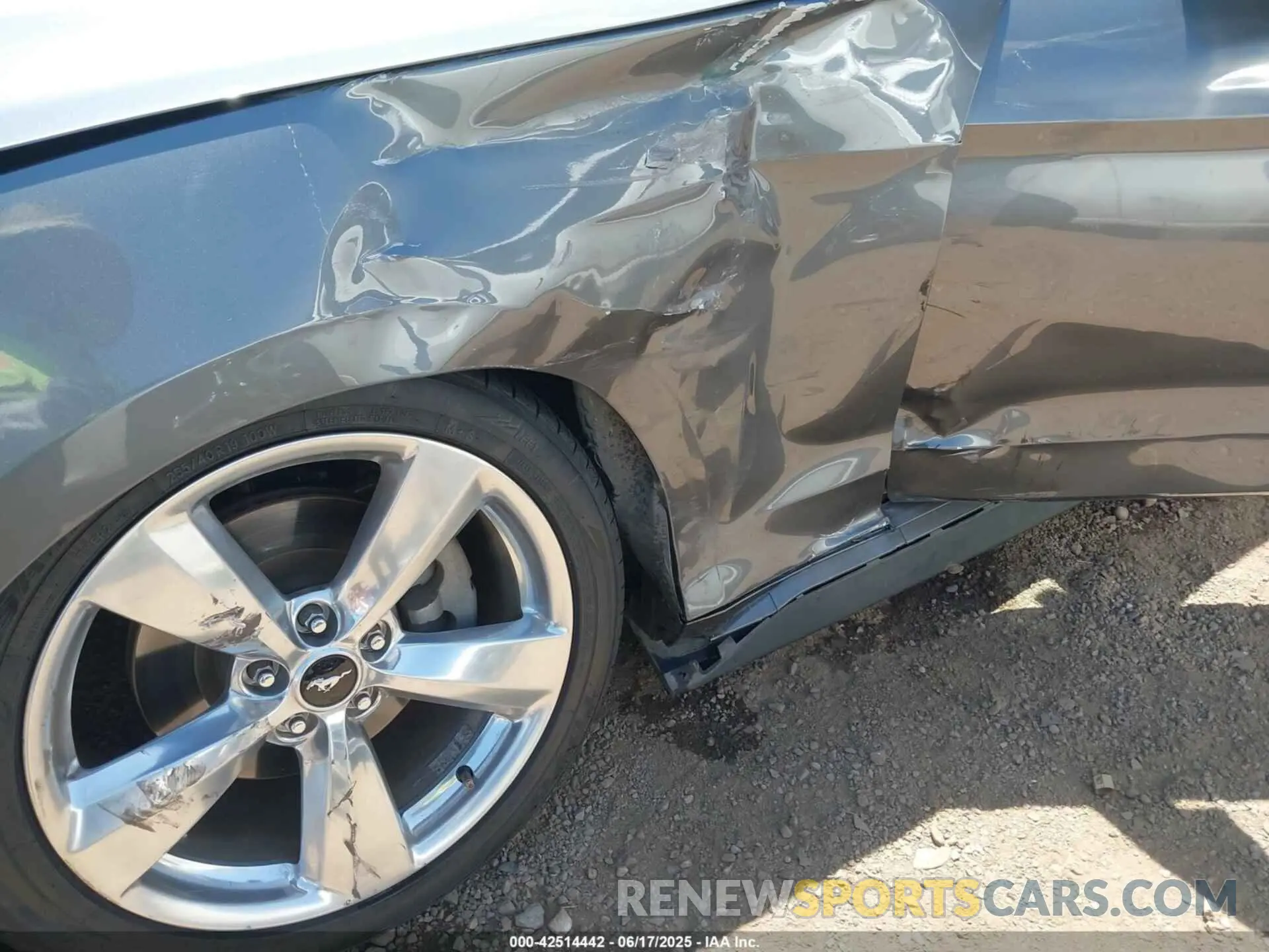 6 Photograph of a damaged car 1FA6P8TH5N5147971 FORD MUSTANG 2022